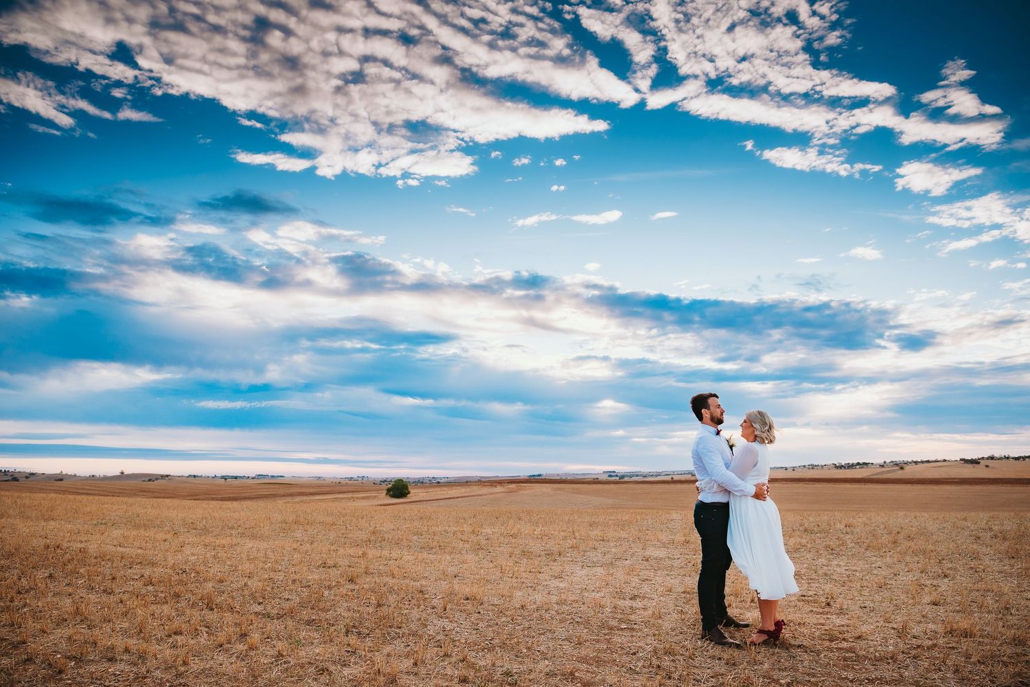 A couple embraces in a vast golden field under a dramatic blue sky with wispy white clouds.