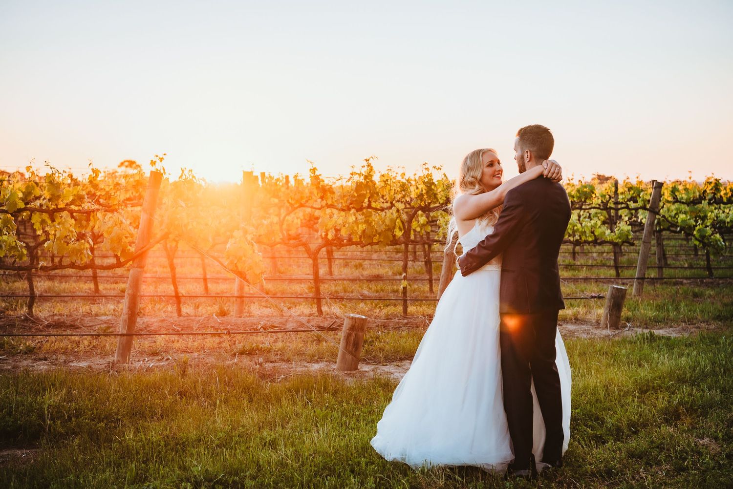A couple embraces at sunset in a picturesque vineyard with warm golden sunlight filtering through the grape vines.