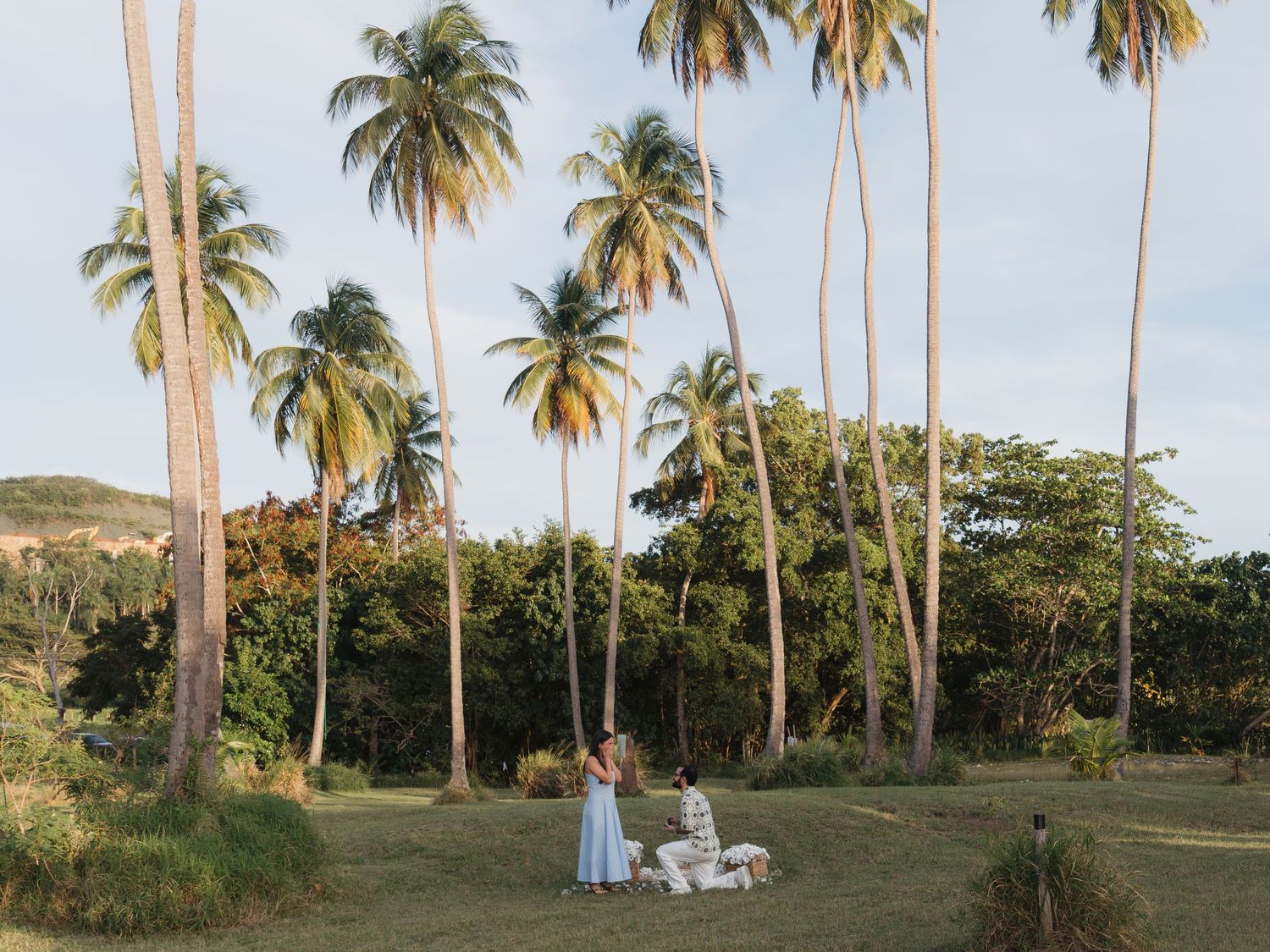 Couple sitting together on lush green grass surrounded by tall tropical palm trees in a scenic Caribbean landscape.