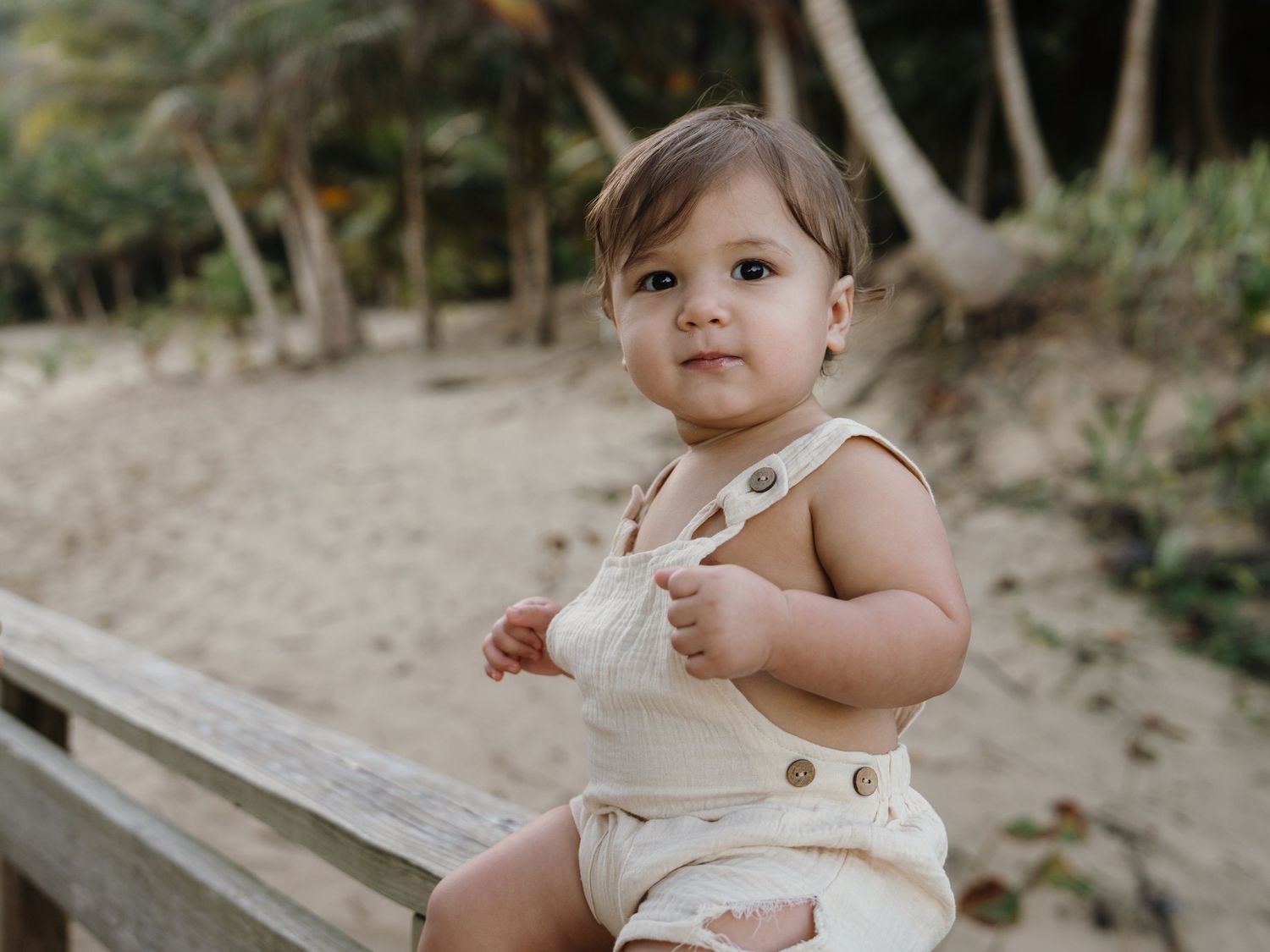 Adorable baby in cream romper sitting on wooden fence at sandy beach with palm trees.