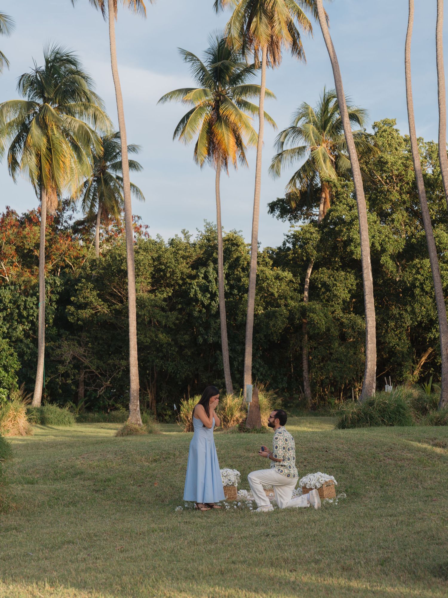 Man kneeling to propose to woman in light blue dress on tropical lawn surrounded by tall palm trees at golden hour.