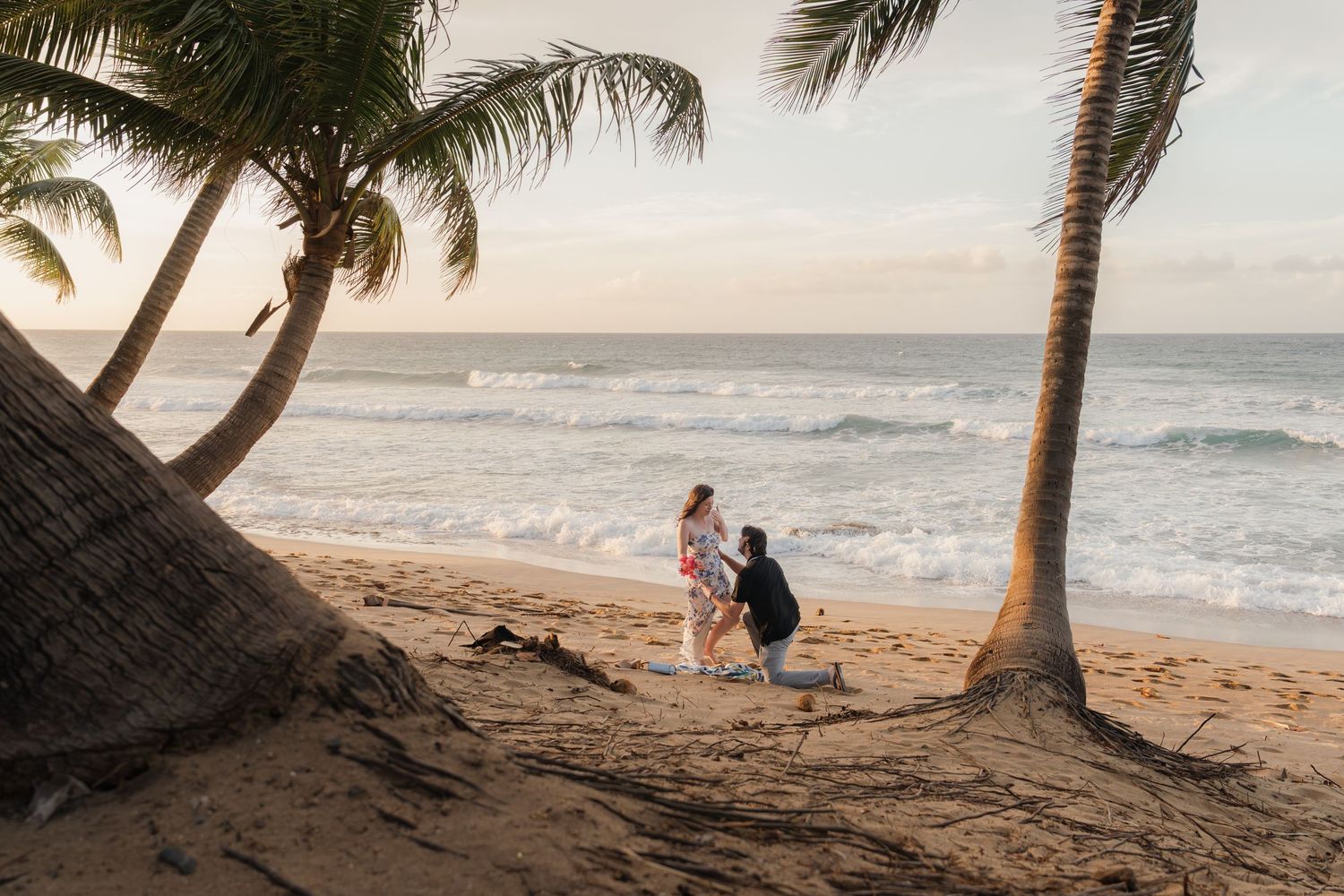 Romantic beach marriage proposal at sunset with palm trees and ocean waves in background.