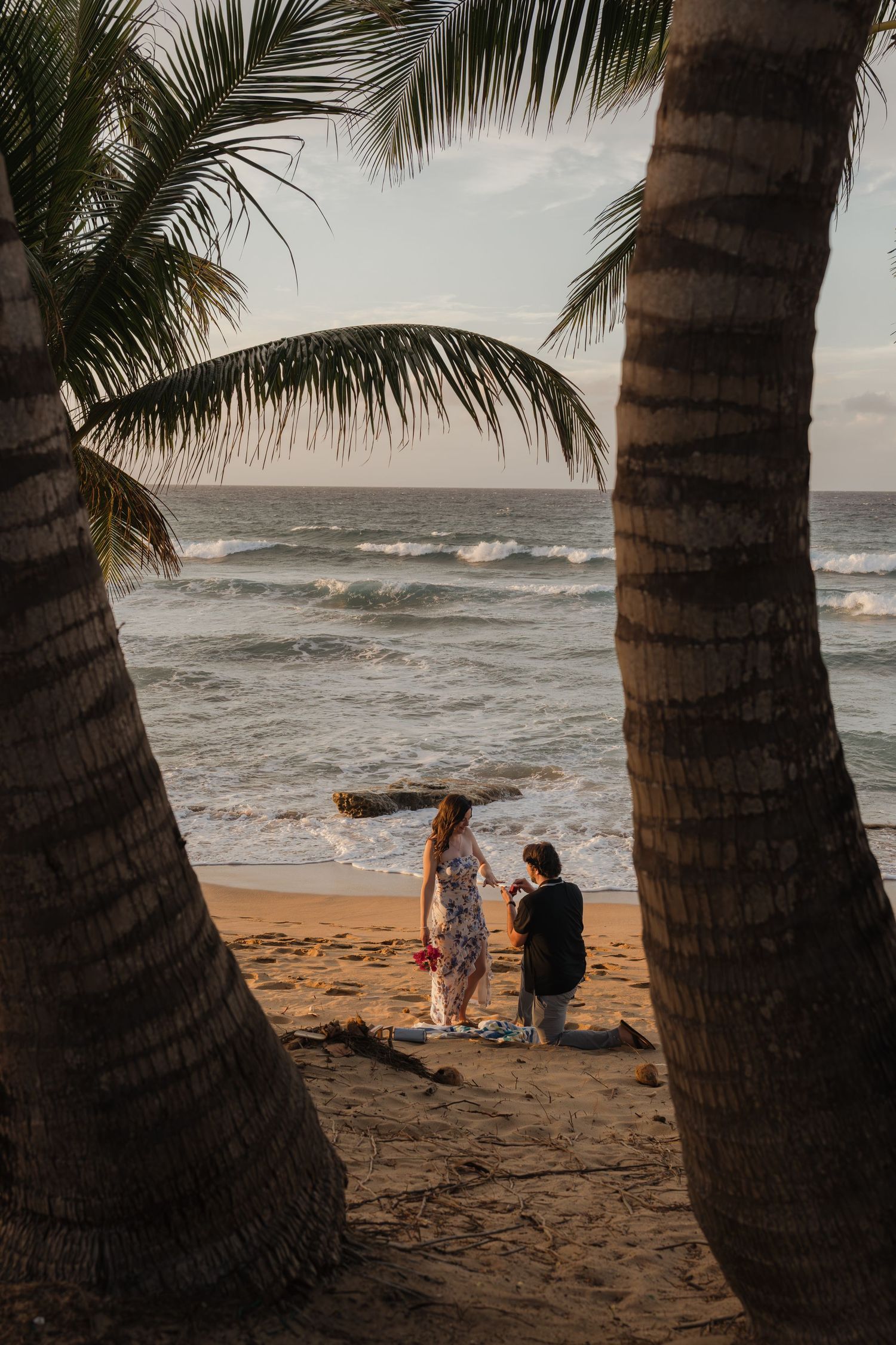 Couple sharing a beach proposal moment between two palm trees with ocean waves in the background.