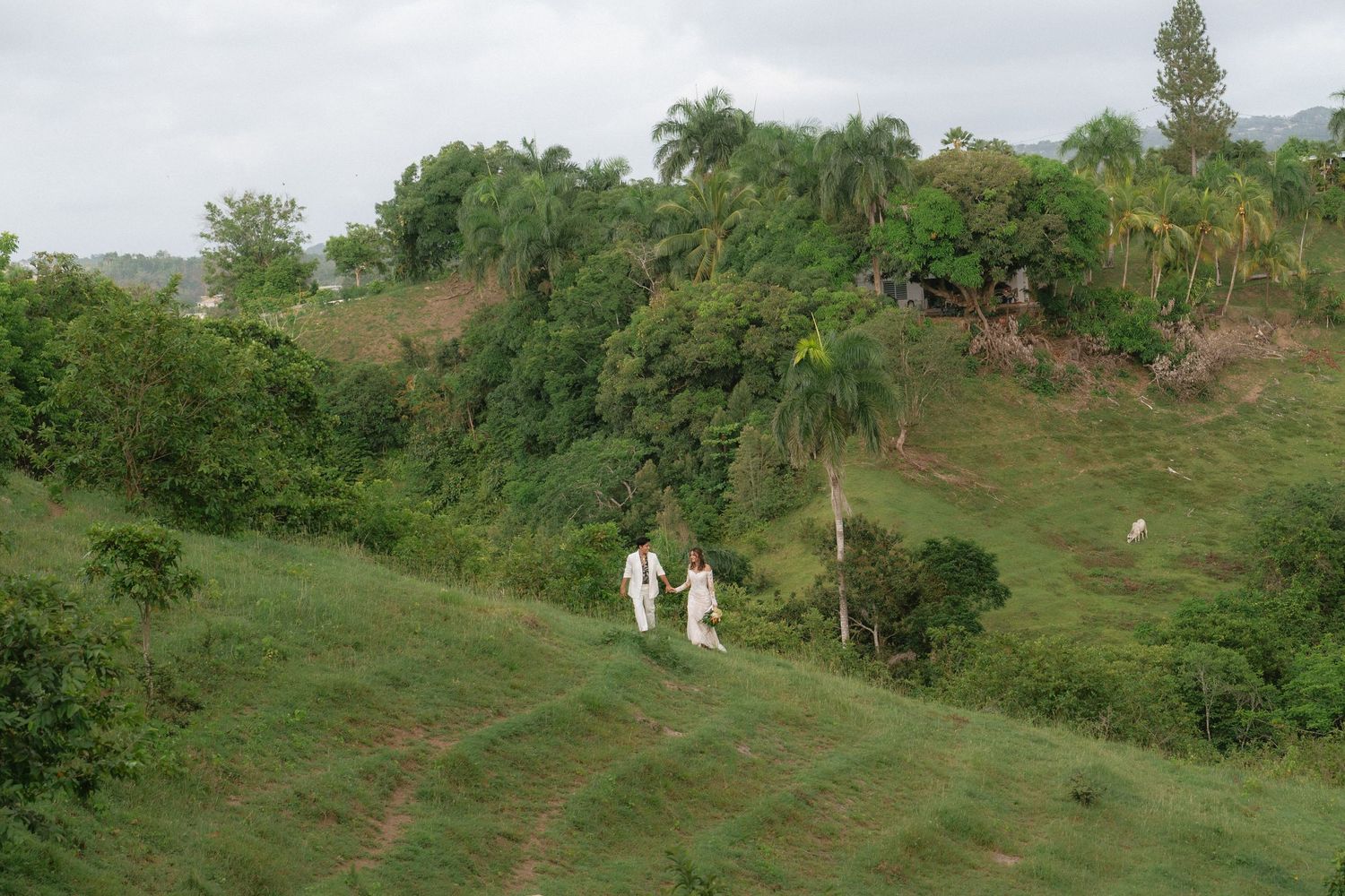 Two people in white walk along a lush green hillside surrounded by tropical trees and vegetation.