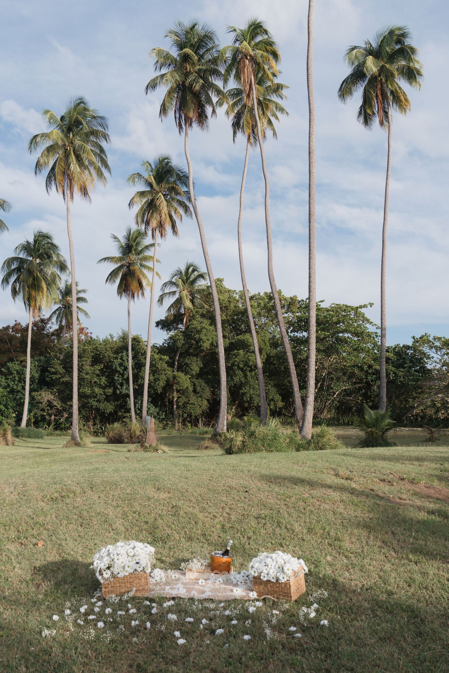 Tropical outdoor wedding setup with white floral arrangements on a rug, surrounded by tall palm trees on a lush green lawn.