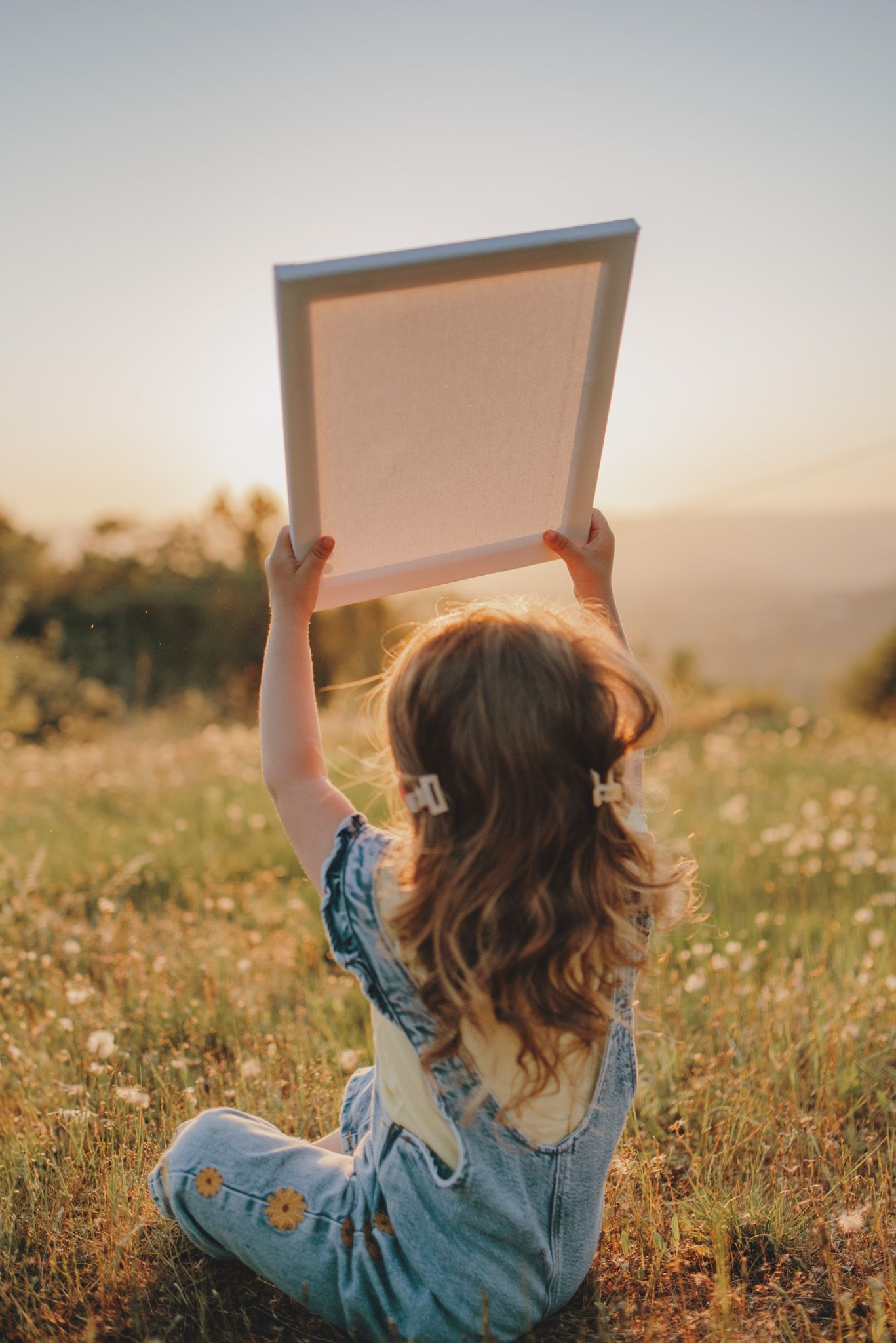 A blank canvas is held up against a sunset sky in a wildflower meadow.