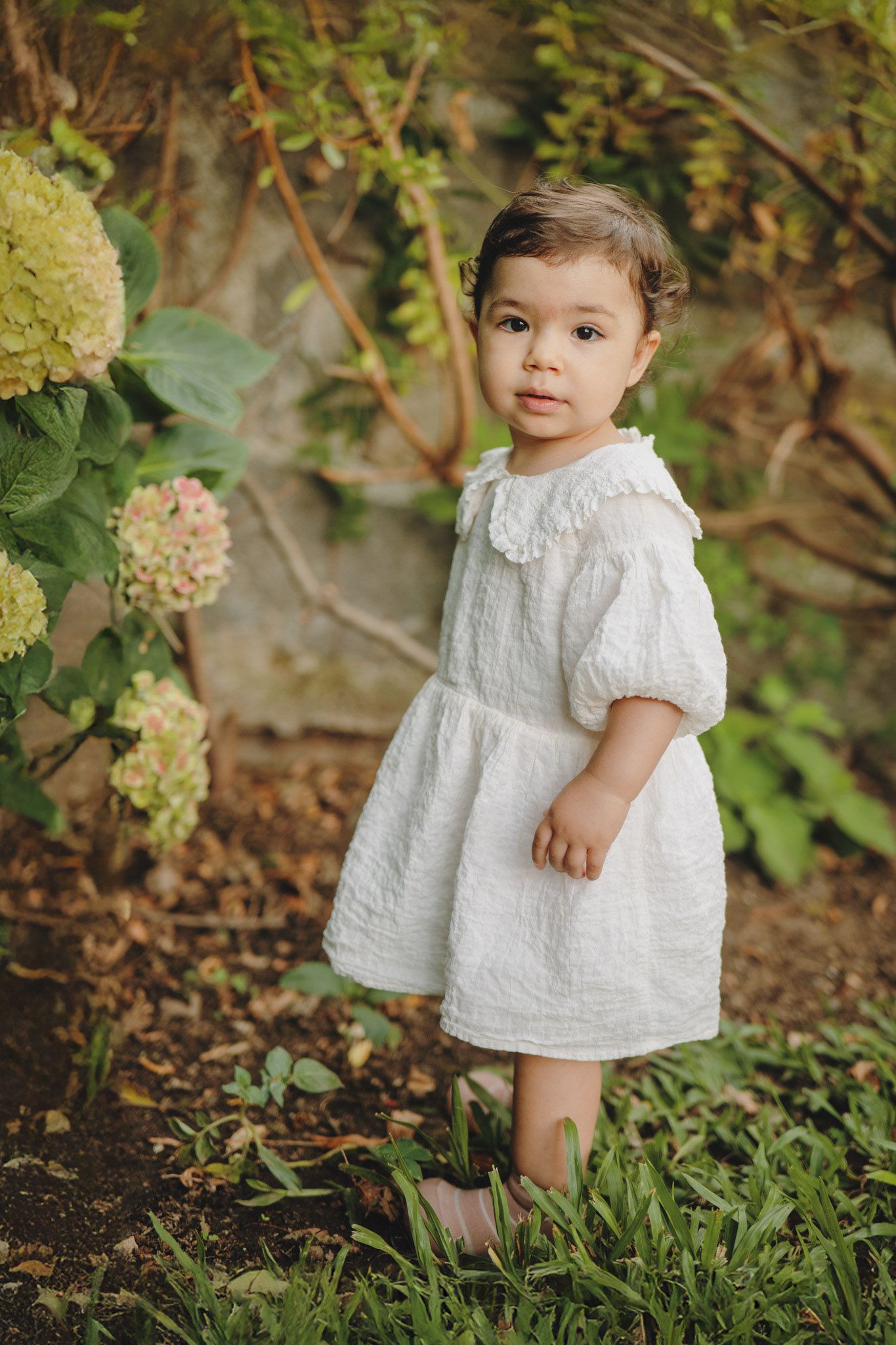 A small child wearing a delicate white eyelet dress explores a lush garden setting with green foliage in the background.