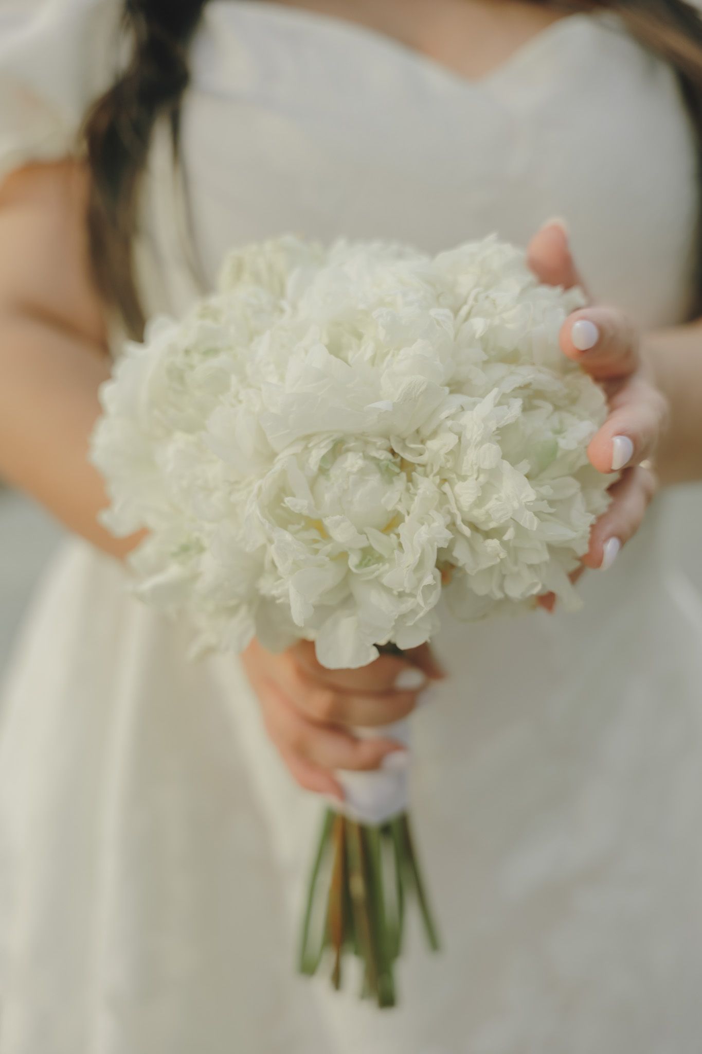A delicate white floral bouquet of fresh hydrangeas is held against a soft white background.