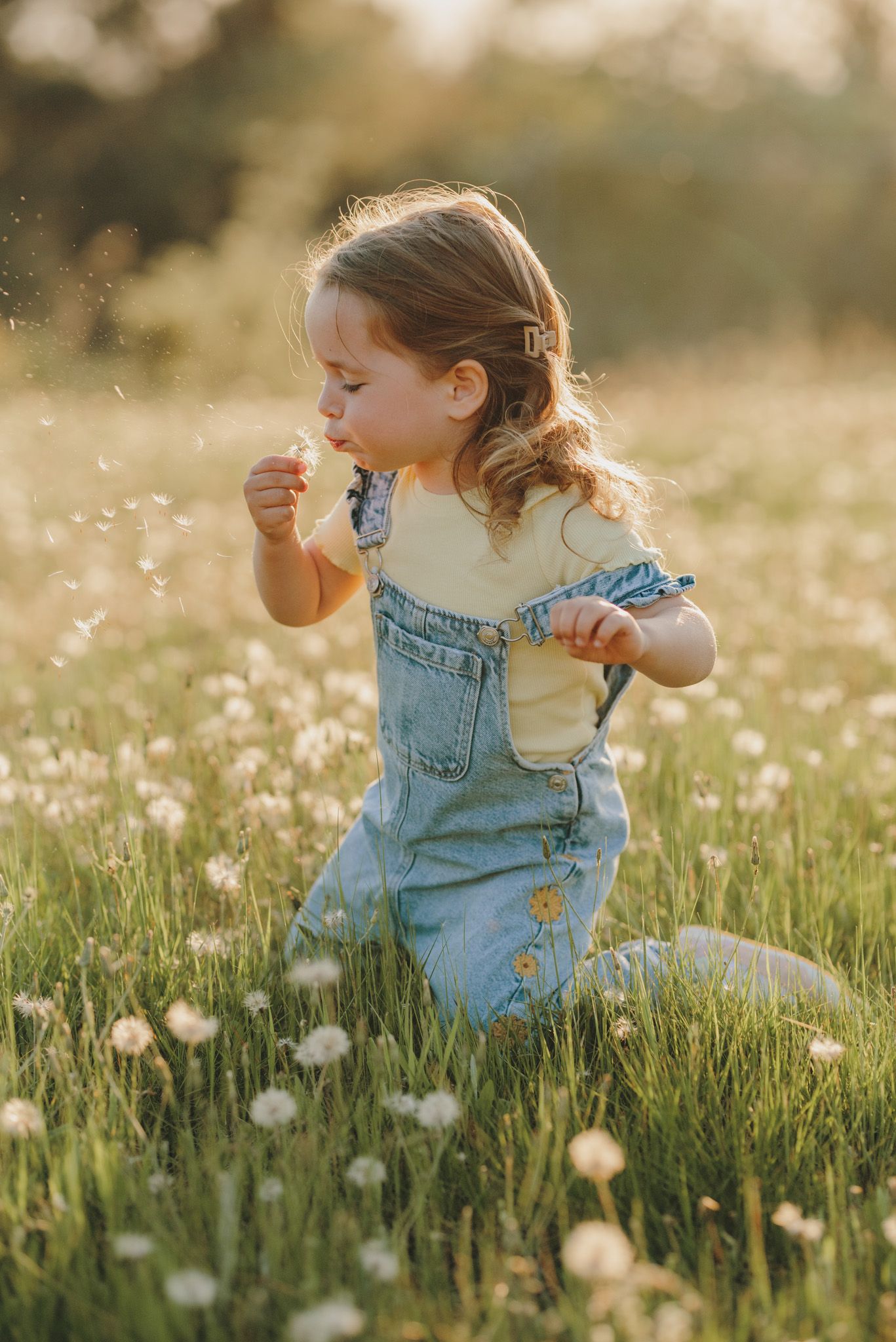 Exploring a meadow of dandelions in denim overalls during a warm summer evening.