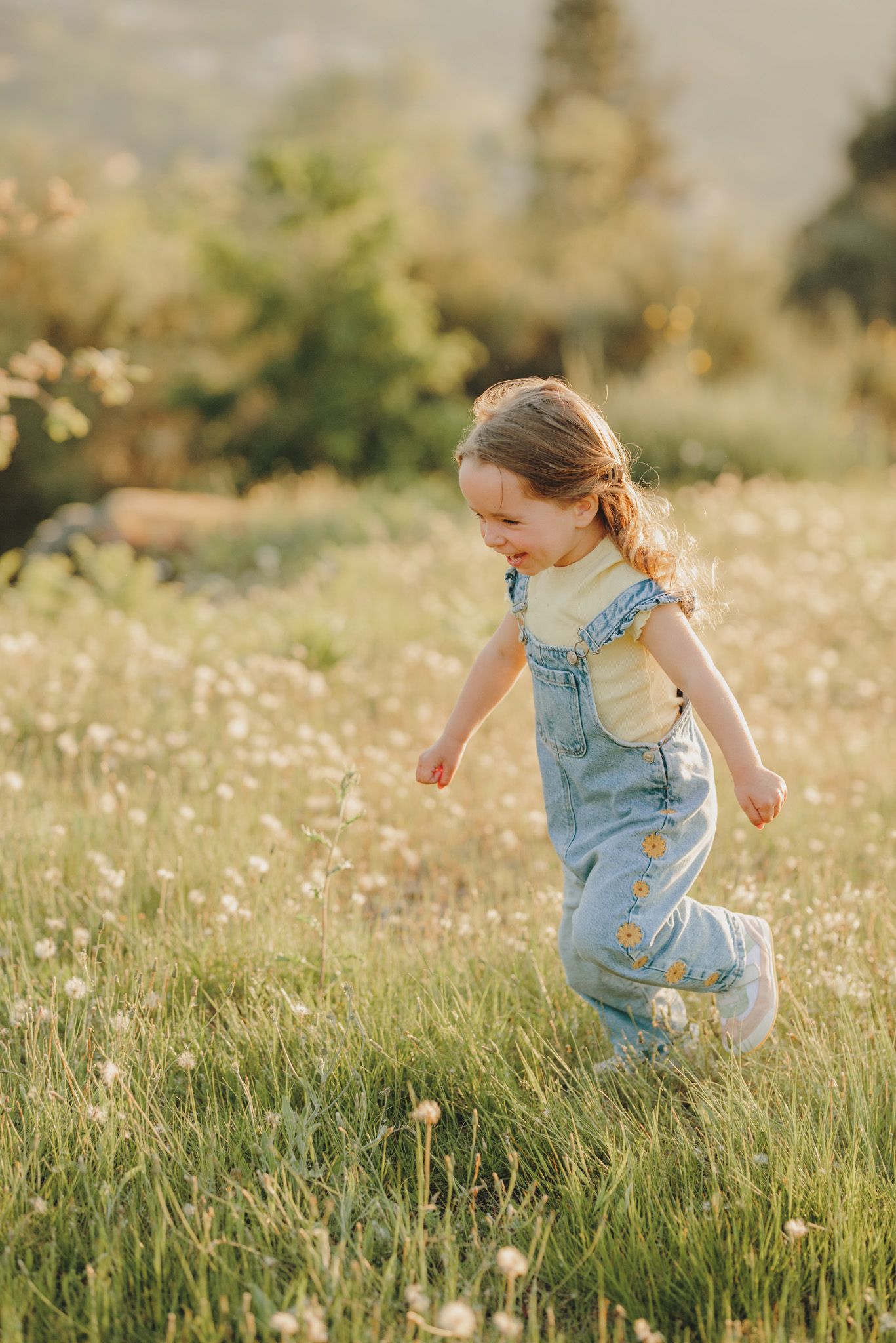 Energetic movement captured in a sun-kissed field of spring flowers.