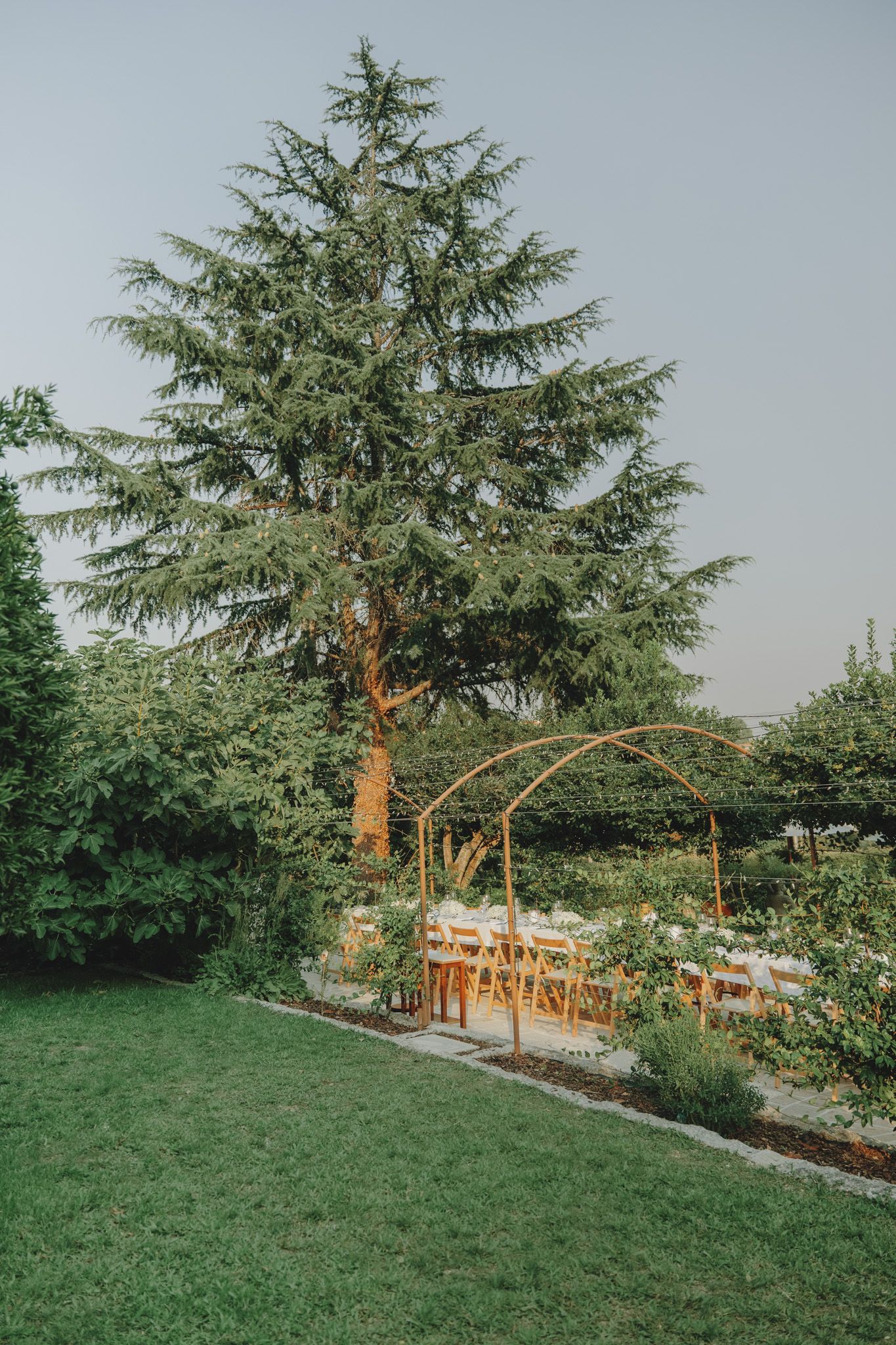 Garden wedding ceremony setup with wooden chairs beneath tall evergreen trees.