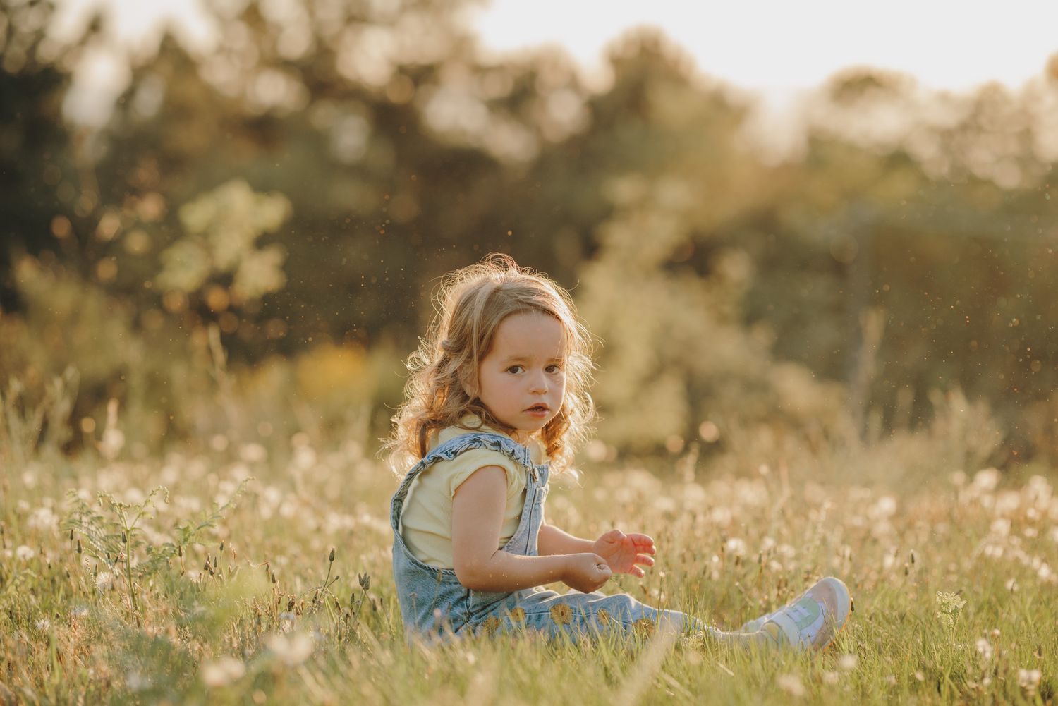 Gentle sunlight illuminates a peaceful moment among spring wildflowers.