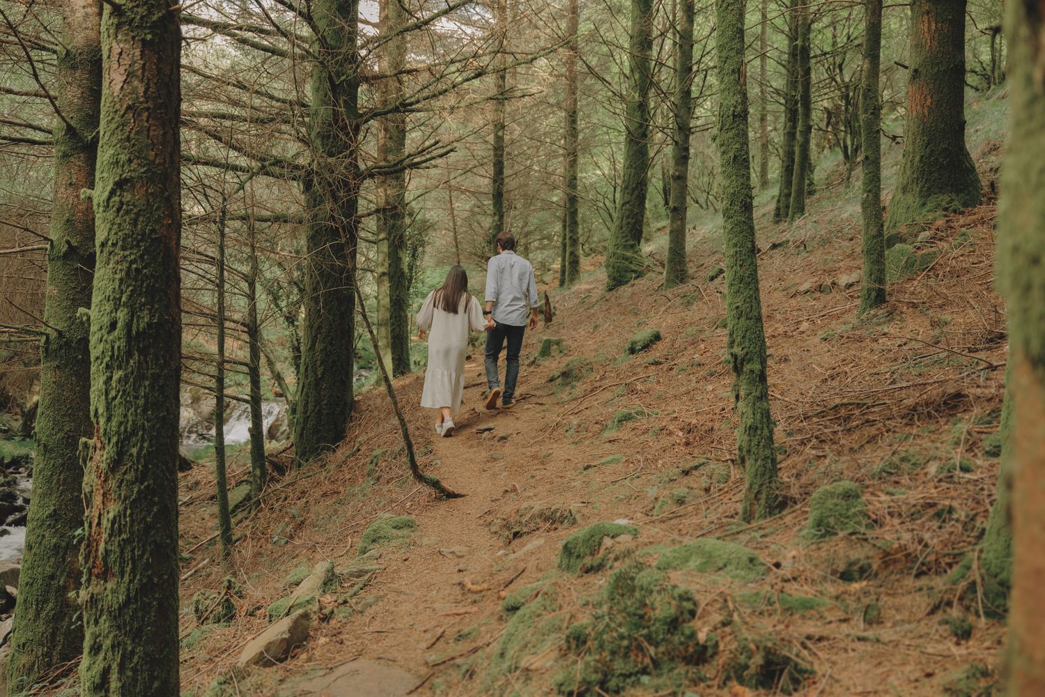 Tall pine trees line a forest slope with scattered figures in the distance.