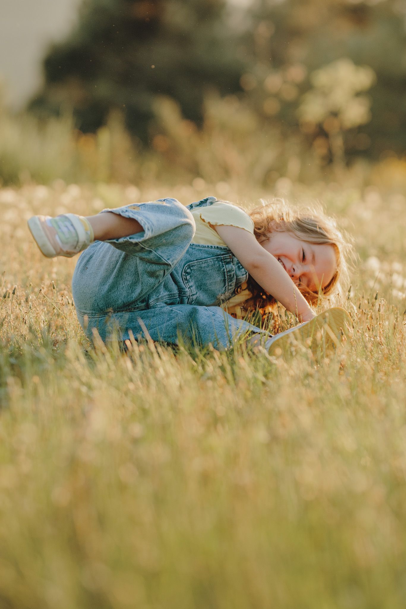 Peaceful rest in a summer meadow during golden hour.