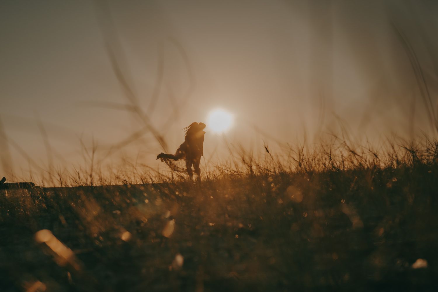 Scenic sunset landscape with silhouettes of tall grass against an orange sky.