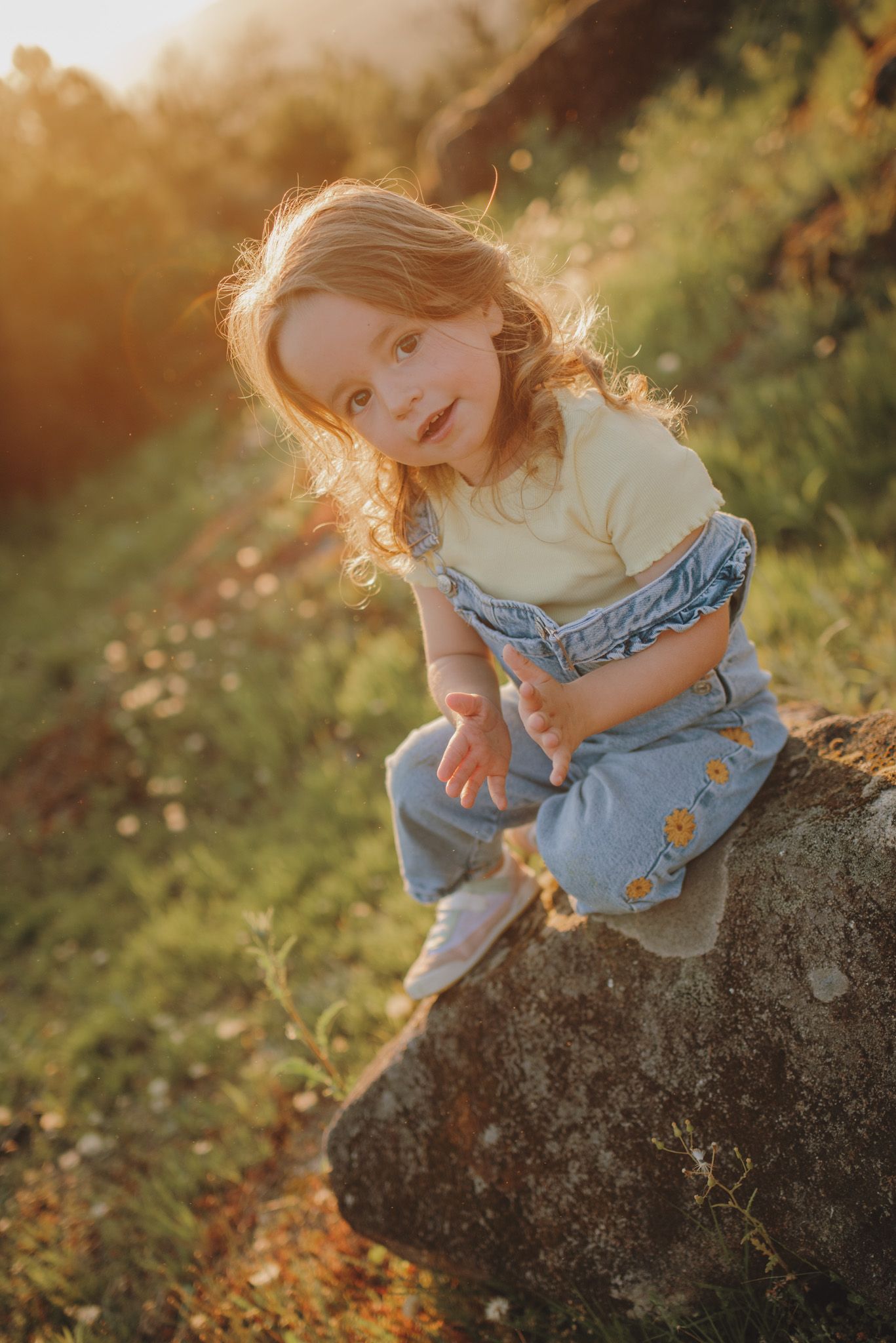 Curious exploration on a stone wall surrounded by nature at sunset.