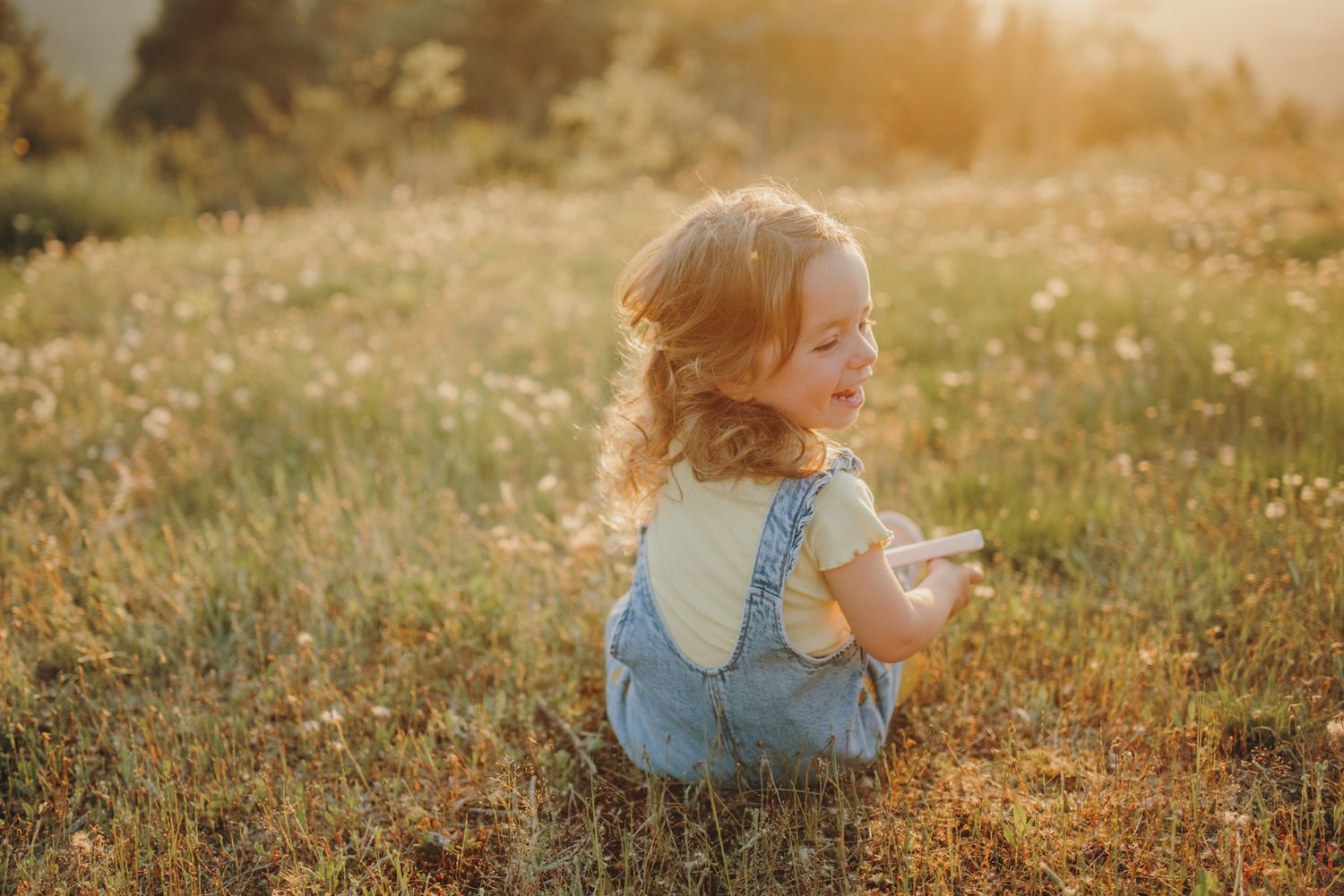 Golden sunlight illuminates a meadow with scattered wildflowers.