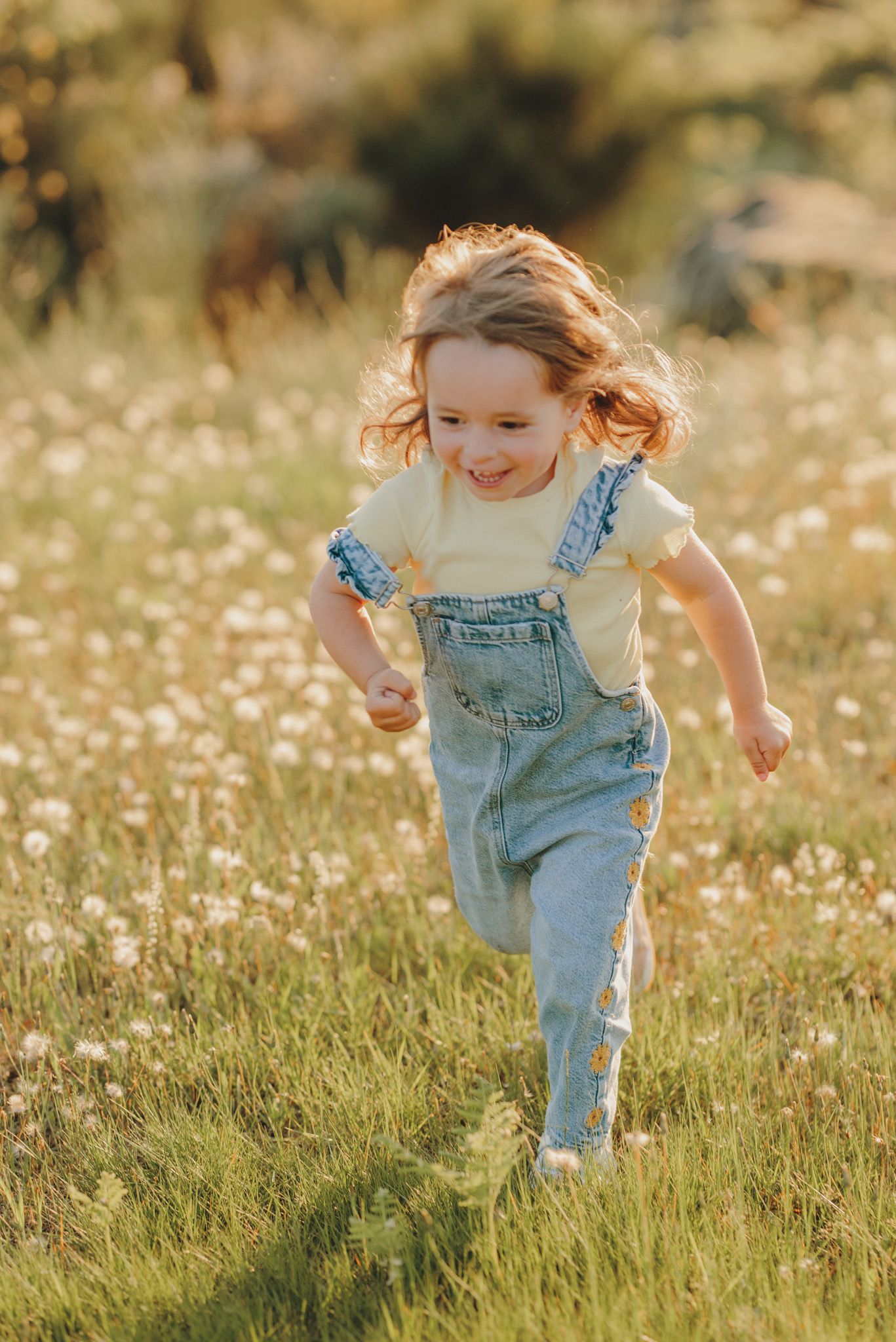 Playful running through a golden meadow filled with delicate wildflowers.