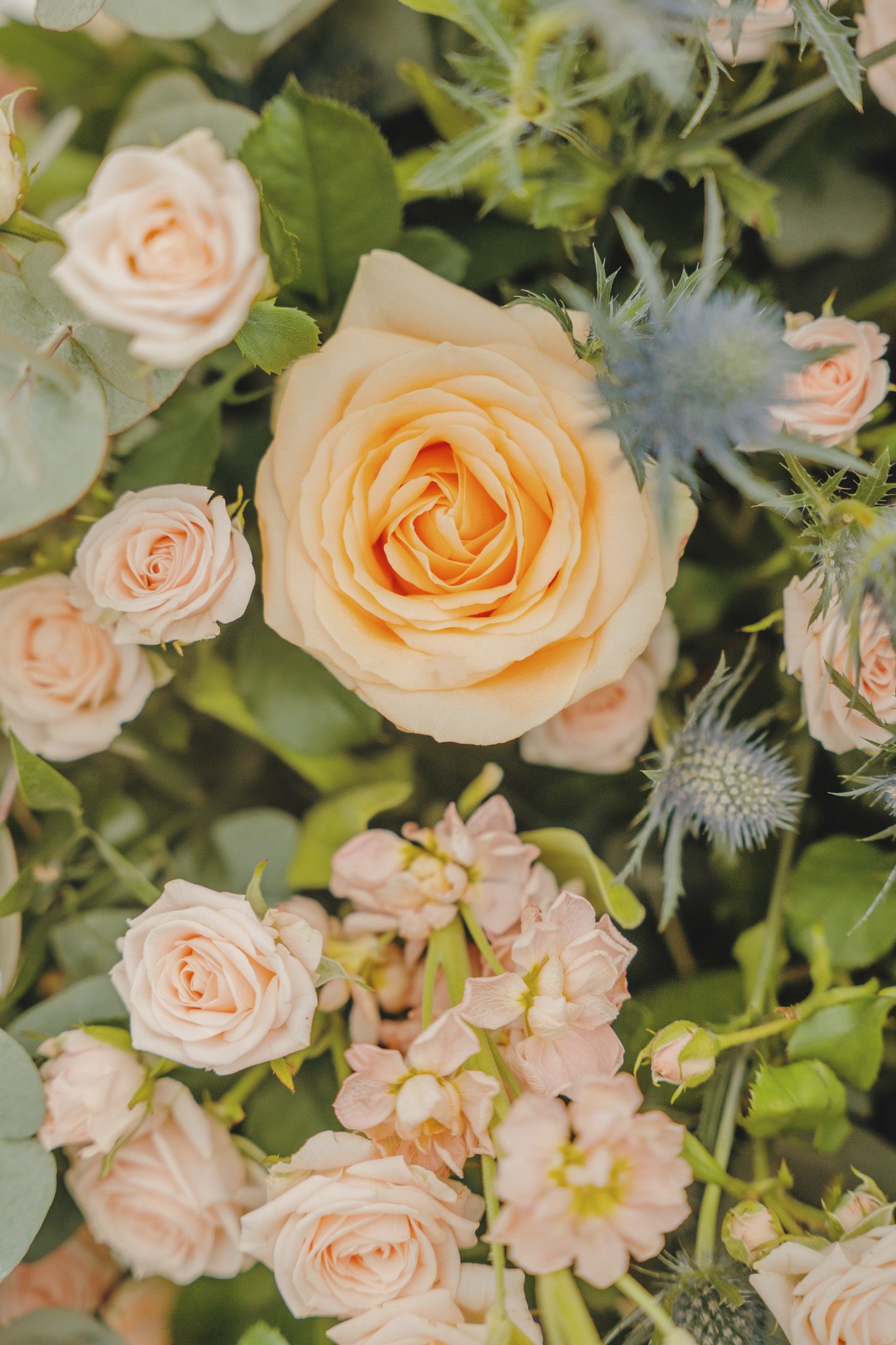 Delicate peach roses and floral arrangements with soft bokeh effect.