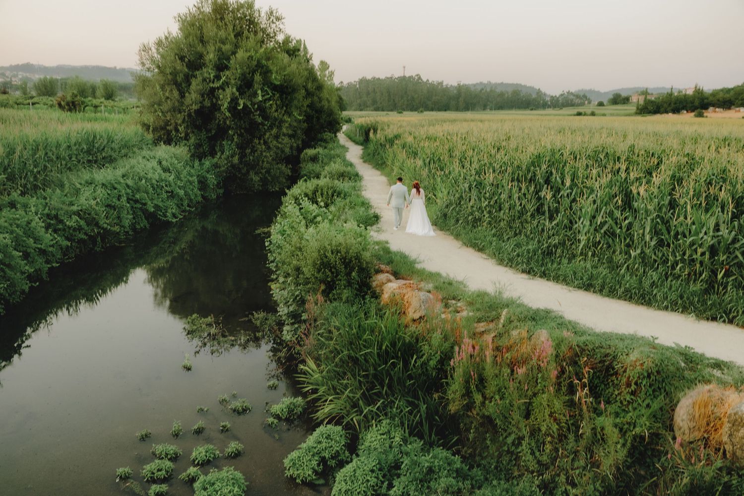 A winding dirt path runs between a tranquil canal and tall cornfields with wildflowers blooming along the bank.