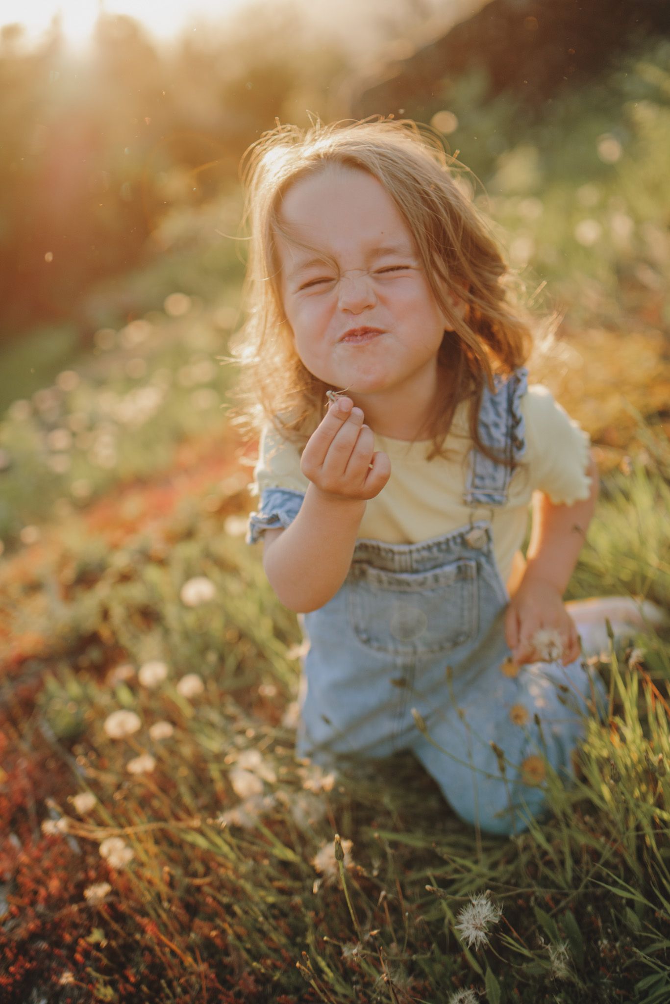 A playful moment captured in a meadow during golden hour.