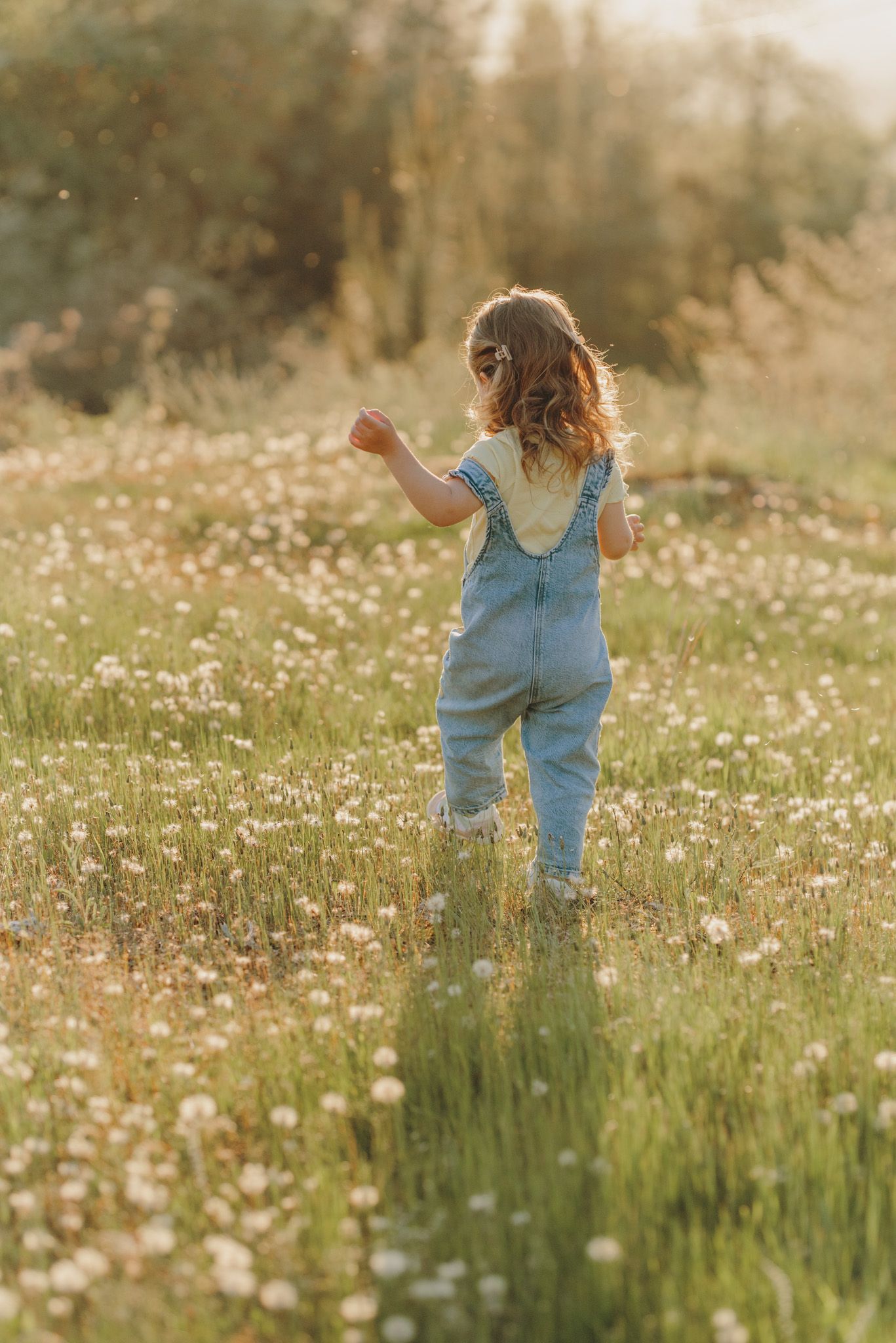 Playful movements through a field of white flowers during golden hour.