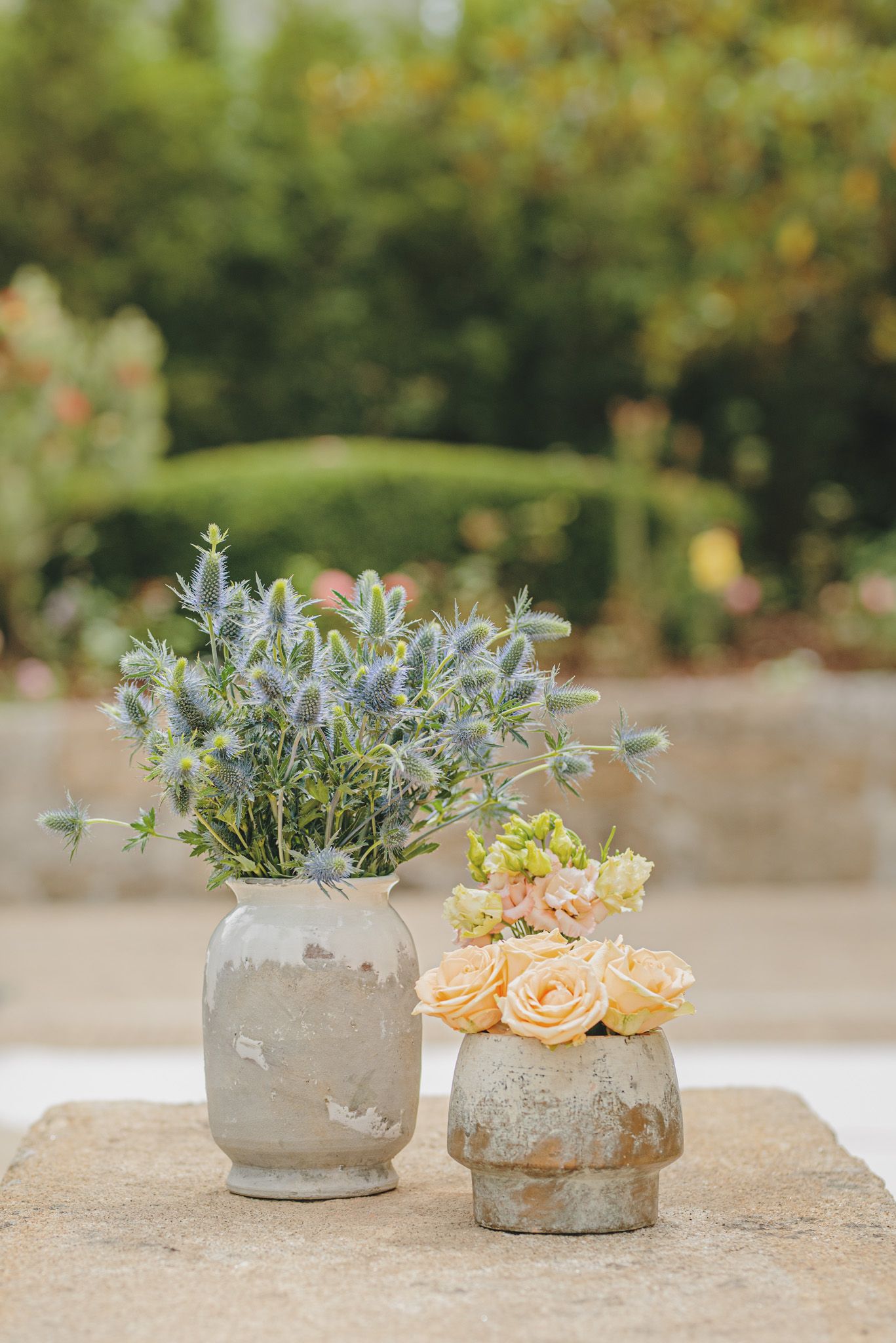 Rustic concrete planters filled with peach roses and blue flowers on a stone surface.