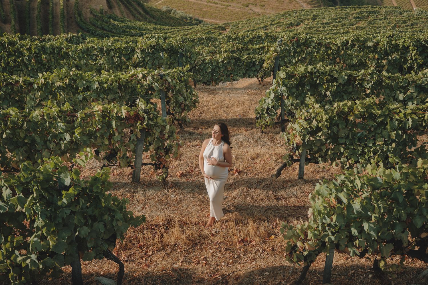 A scenic vineyard stretches across rolling hills with mountains in the background.