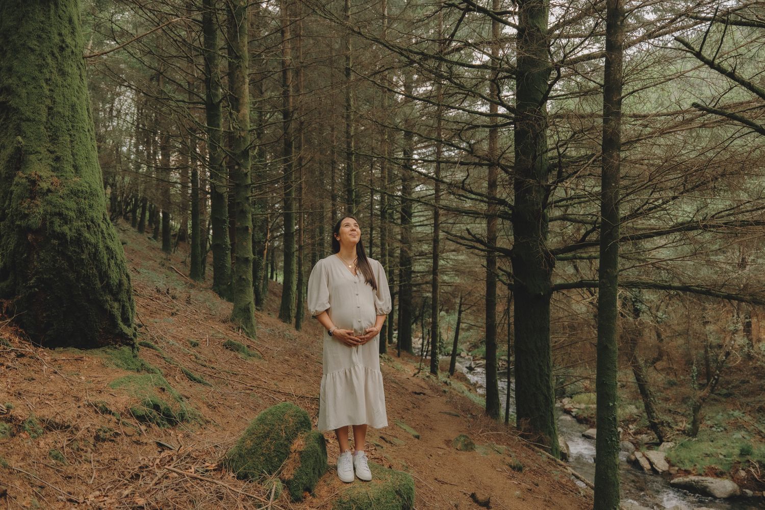 Individual explores a scenic forest trail surrounded by tall evergreen trees.