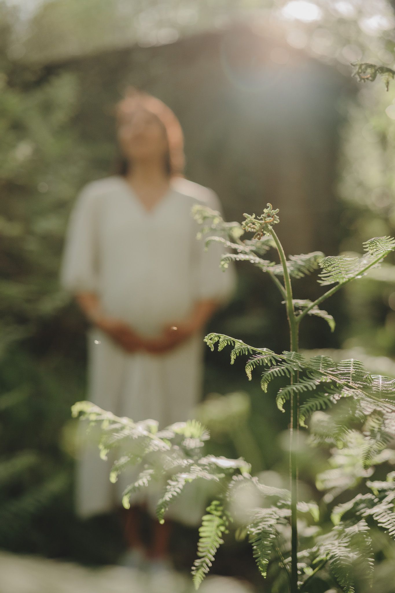 Soft focus garden scene with delicate ferns and greenery in foreground against blurred white and natural elements.