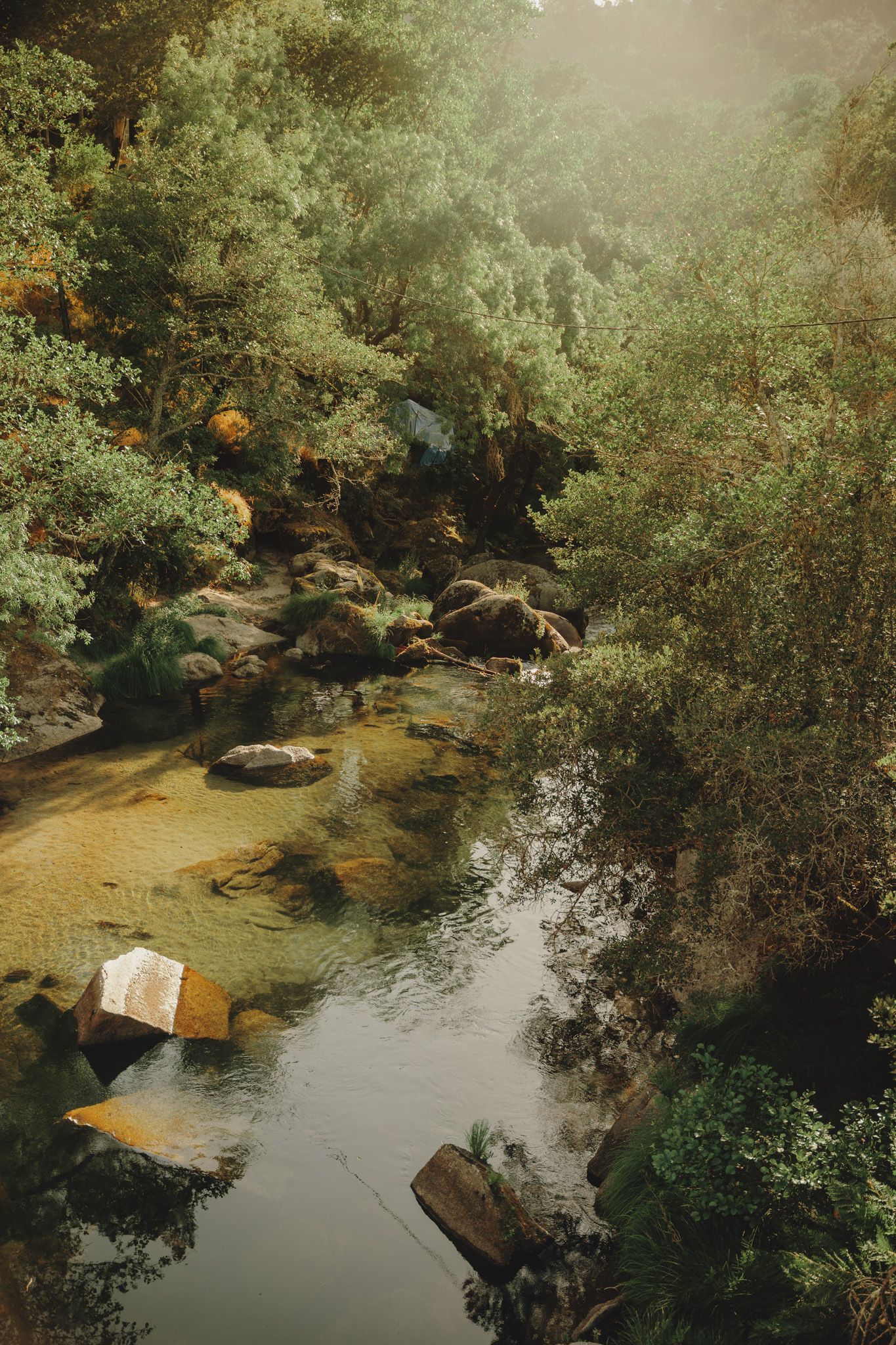 A tranquil stream flows through a wooded area with sunlight filtering through the trees.