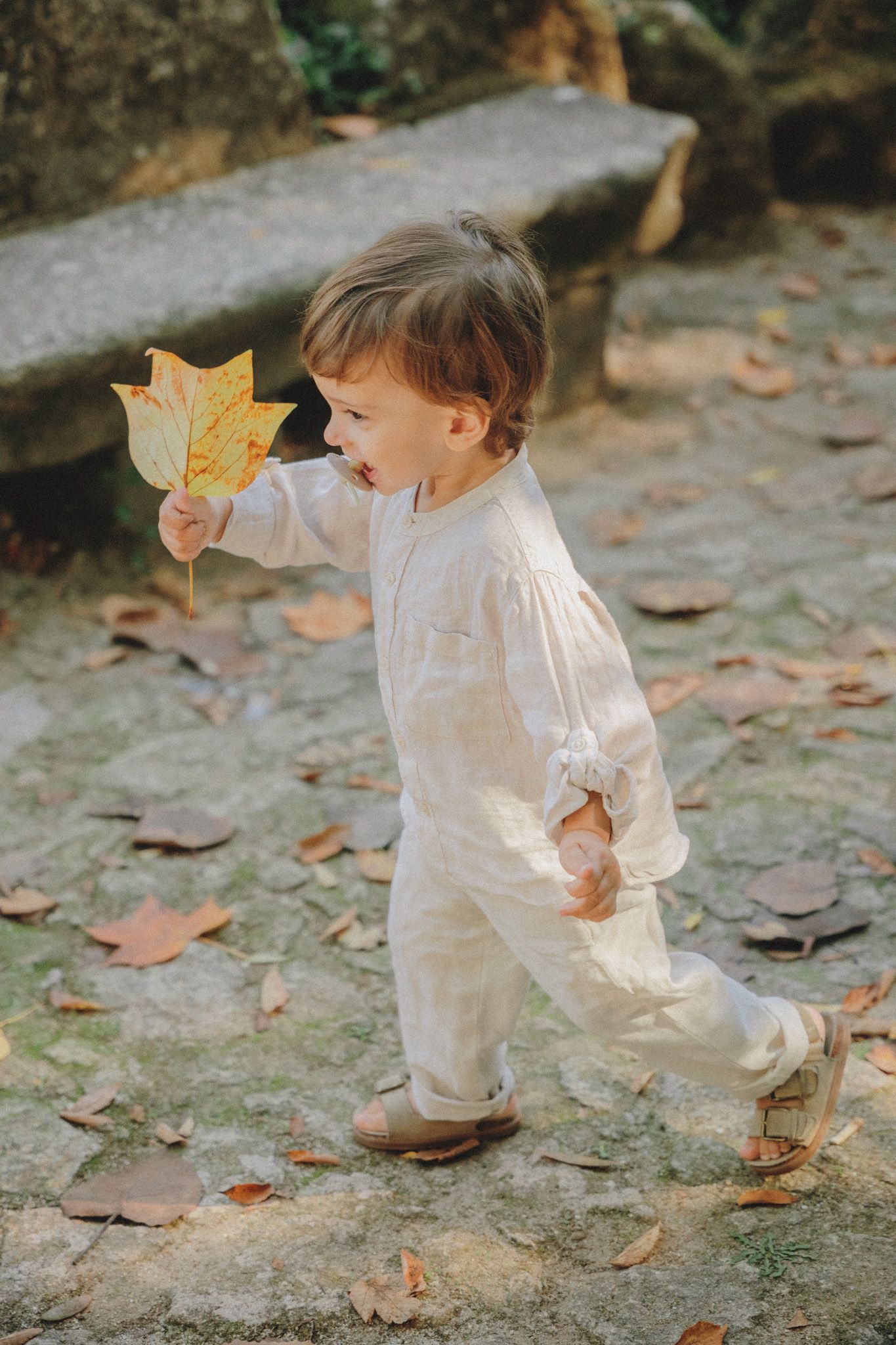Small child in white clothing holding autumn leaves while walking on stone path.