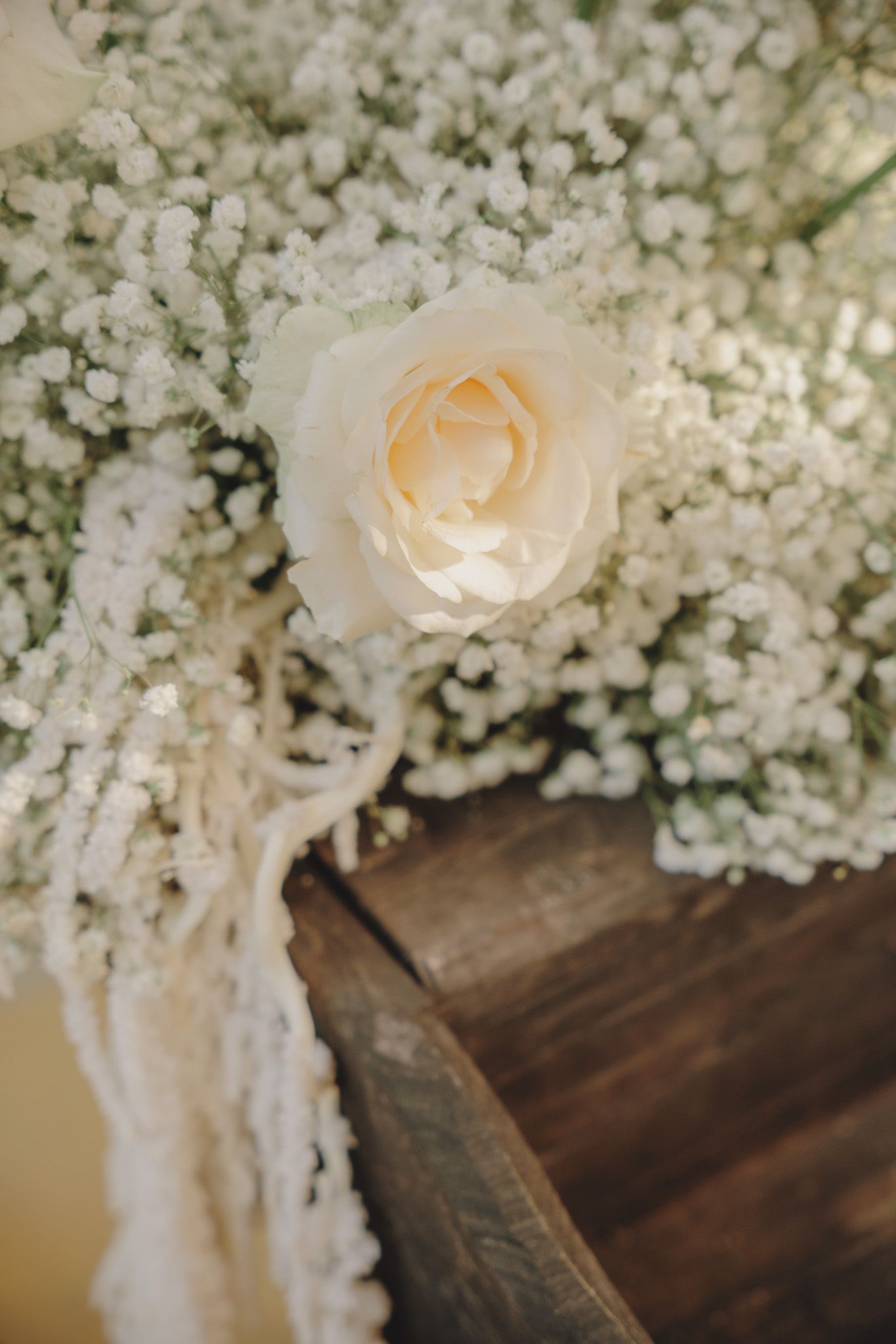 Romantic arrangement of baby's breath flowers with soft peach roses on a wooden surface.