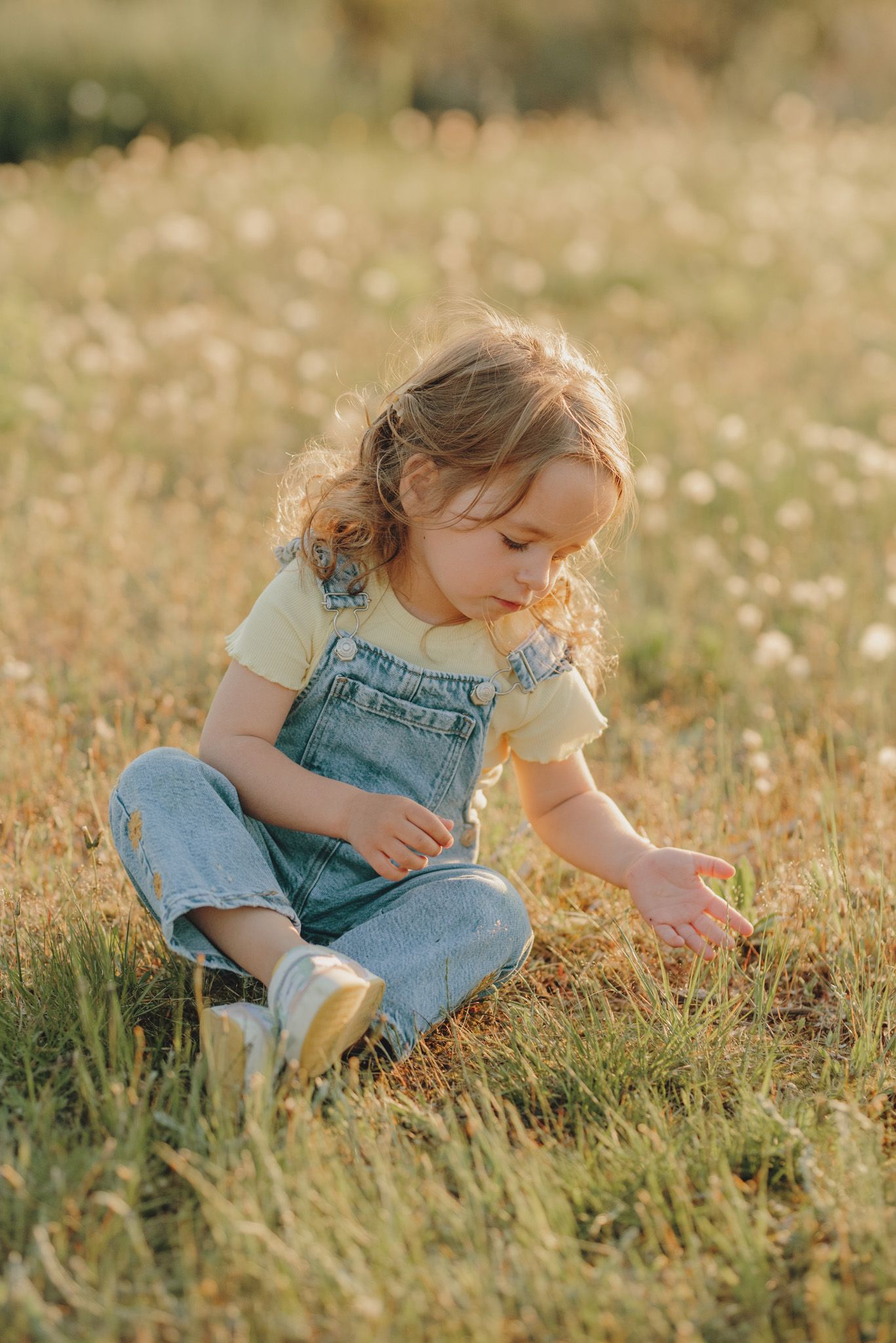 A child in denim overalls explores a sunny wildflower meadow during golden hour.