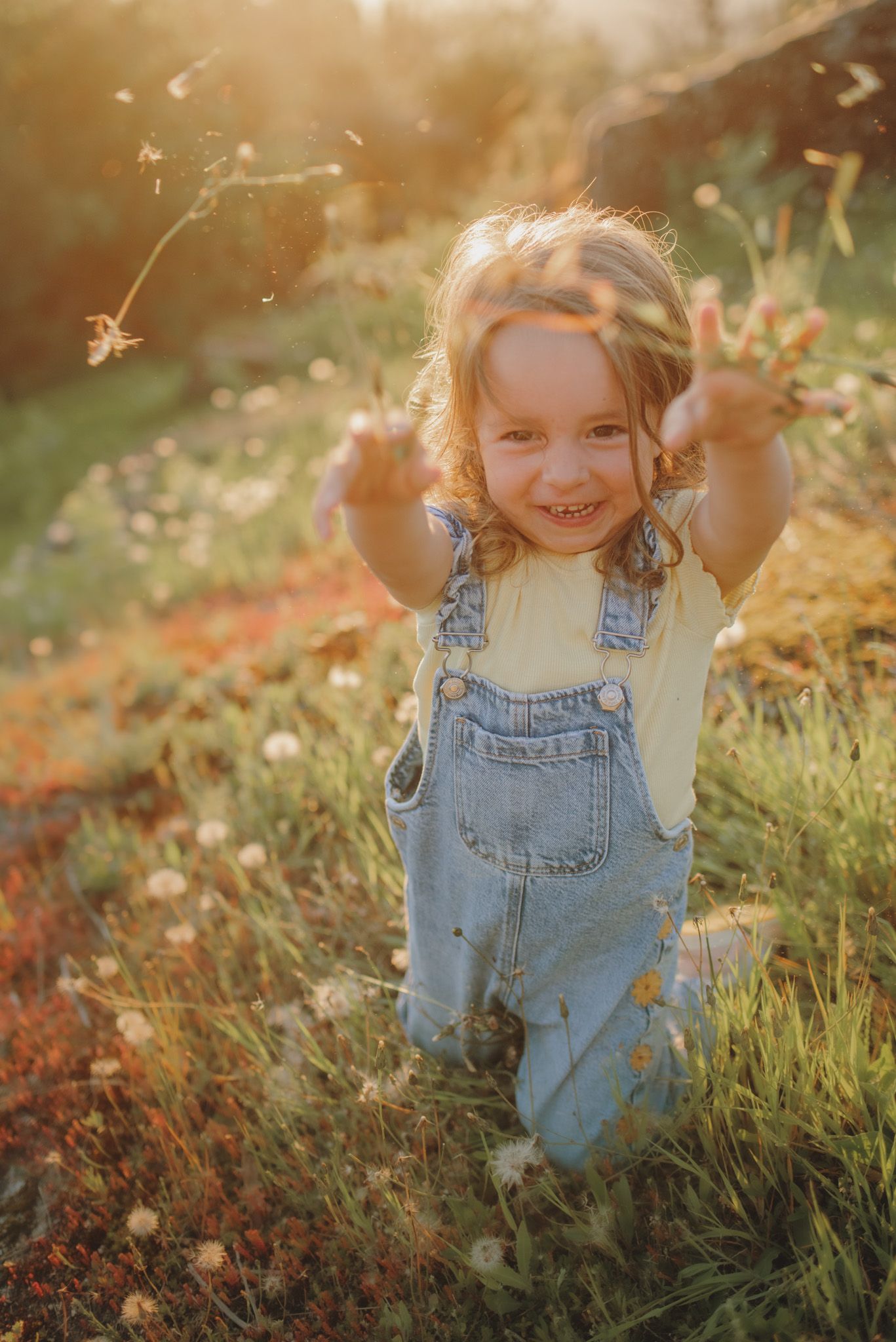 Denim overalls visible in a sunlit meadow with wildflowers.