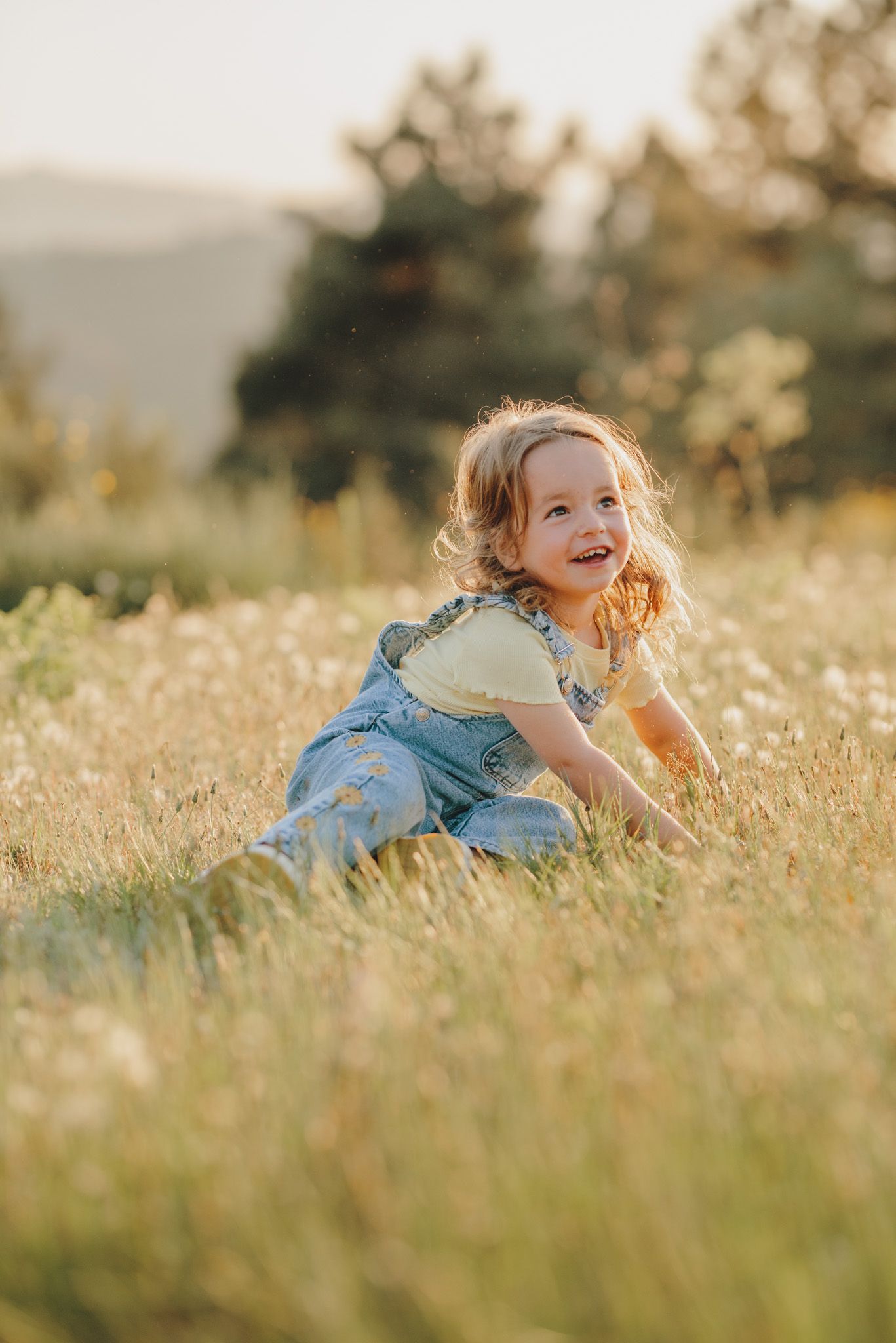 Carefree play in a sun-drenched field of tall grass and wildflowers.