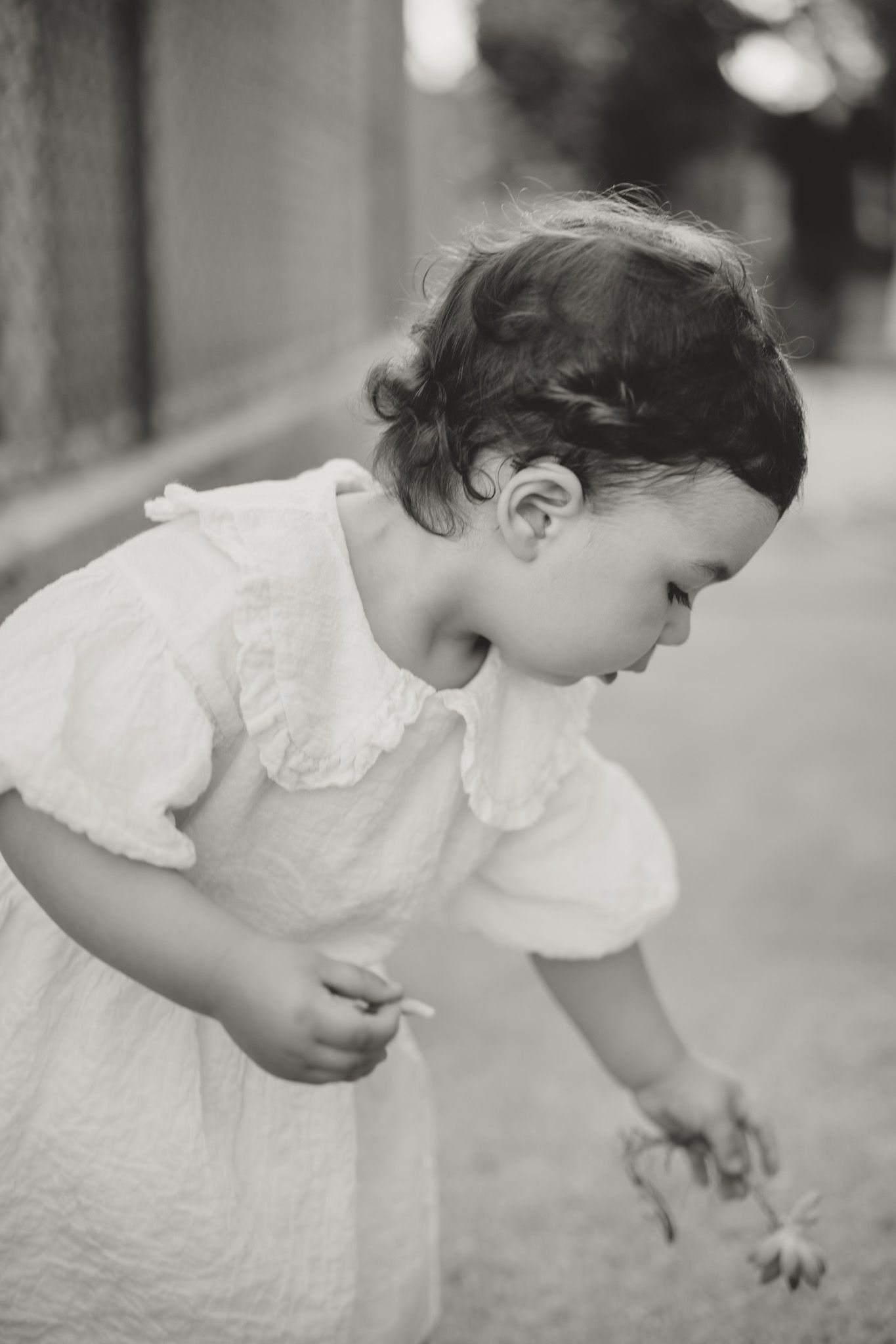 A series of black and white photos showing a small child in a white dress exploring outdoors.