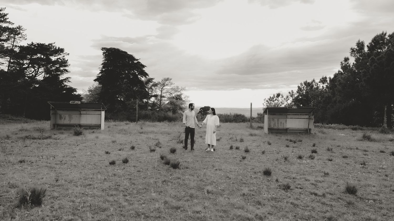 A series of panoramic landscape shots showing an open field with scattered trees and buildings in the distance.