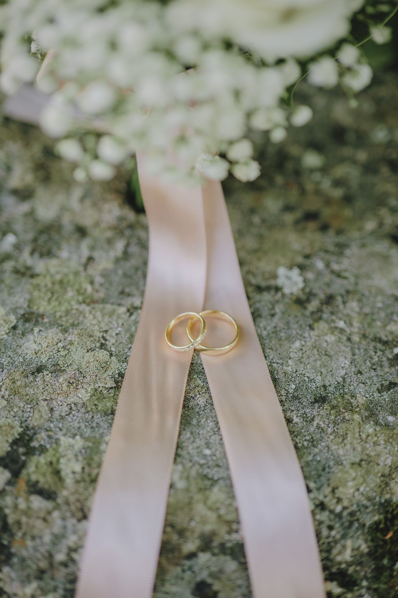 Wedding bands placed artistically on white ribbon with moss texture beneath.