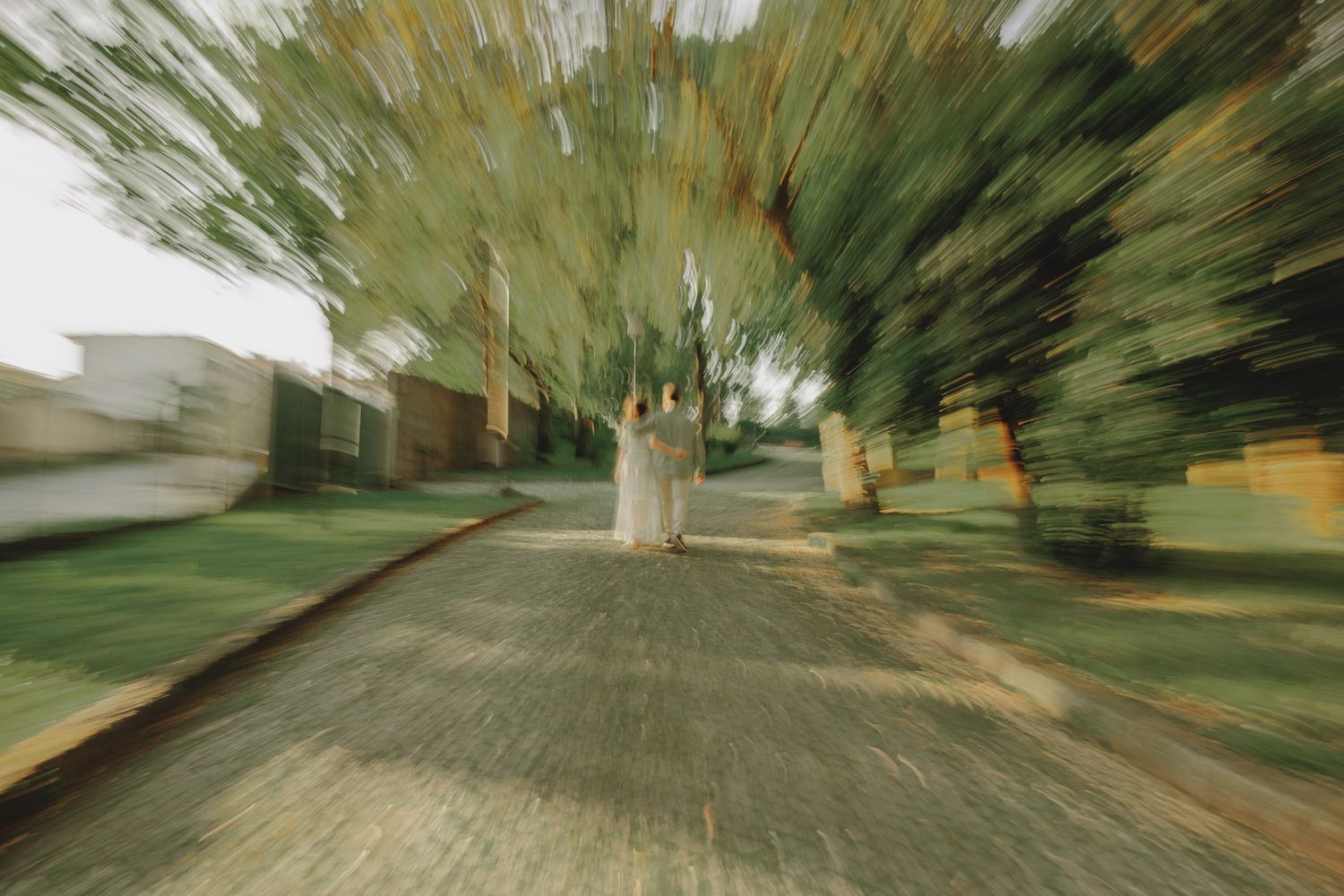 Motion blur photograph creating an artistic effect of trees and pathways.