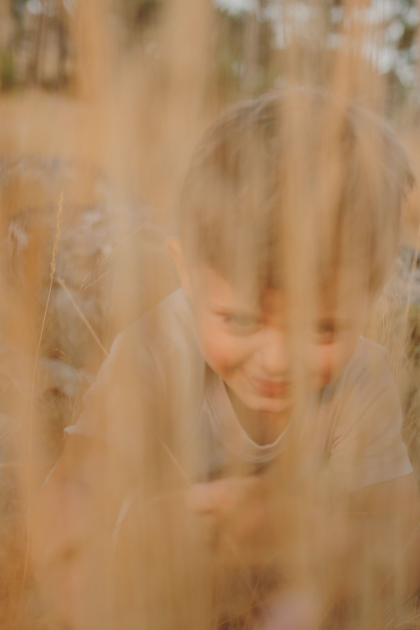 Artistic blurred portrait series through golden grass creating dreamy effect.