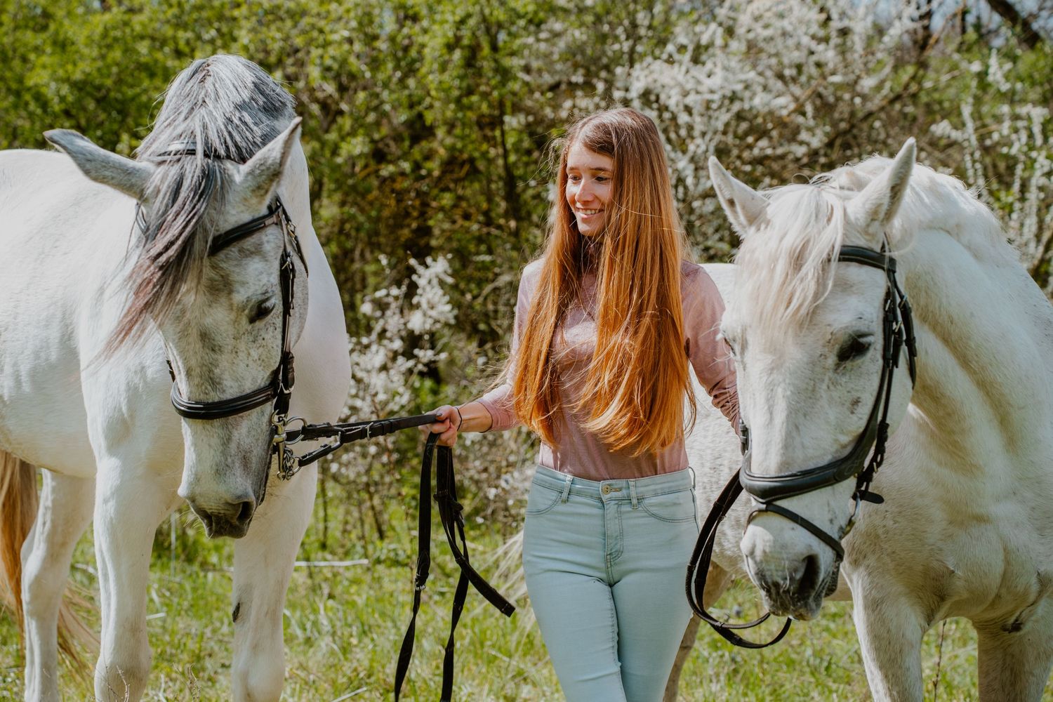 A person stands between two majestic white horses in a sunny meadow setting with lush greenery.
