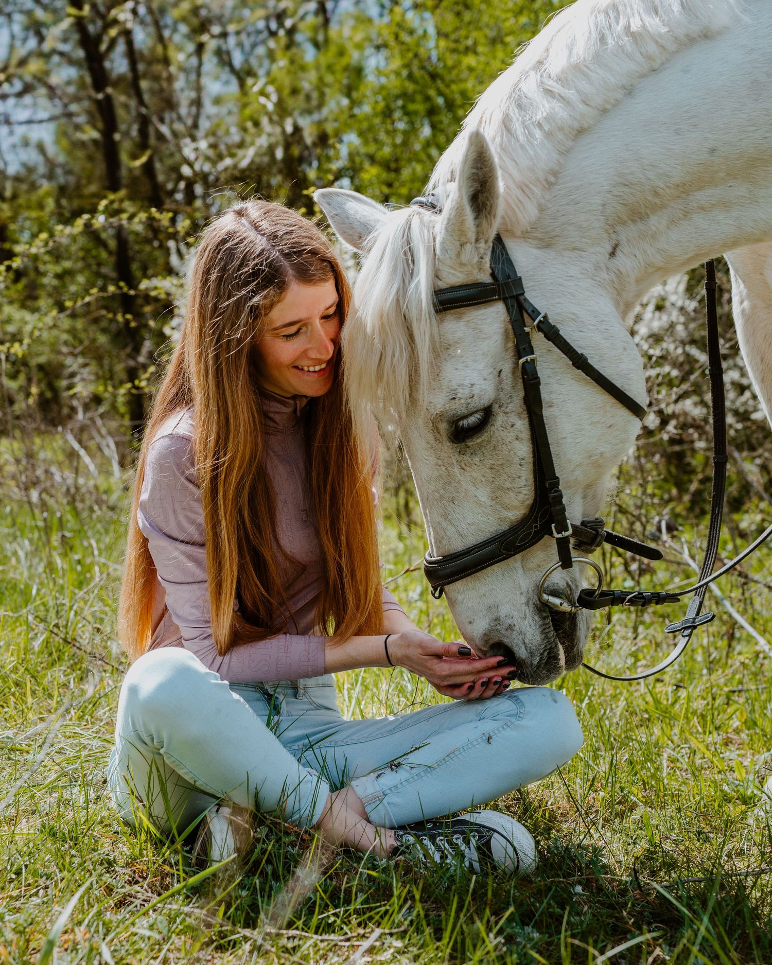 A gentle interaction between a white horse and someone sitting cross-legged in a sunny meadow on a spring day.