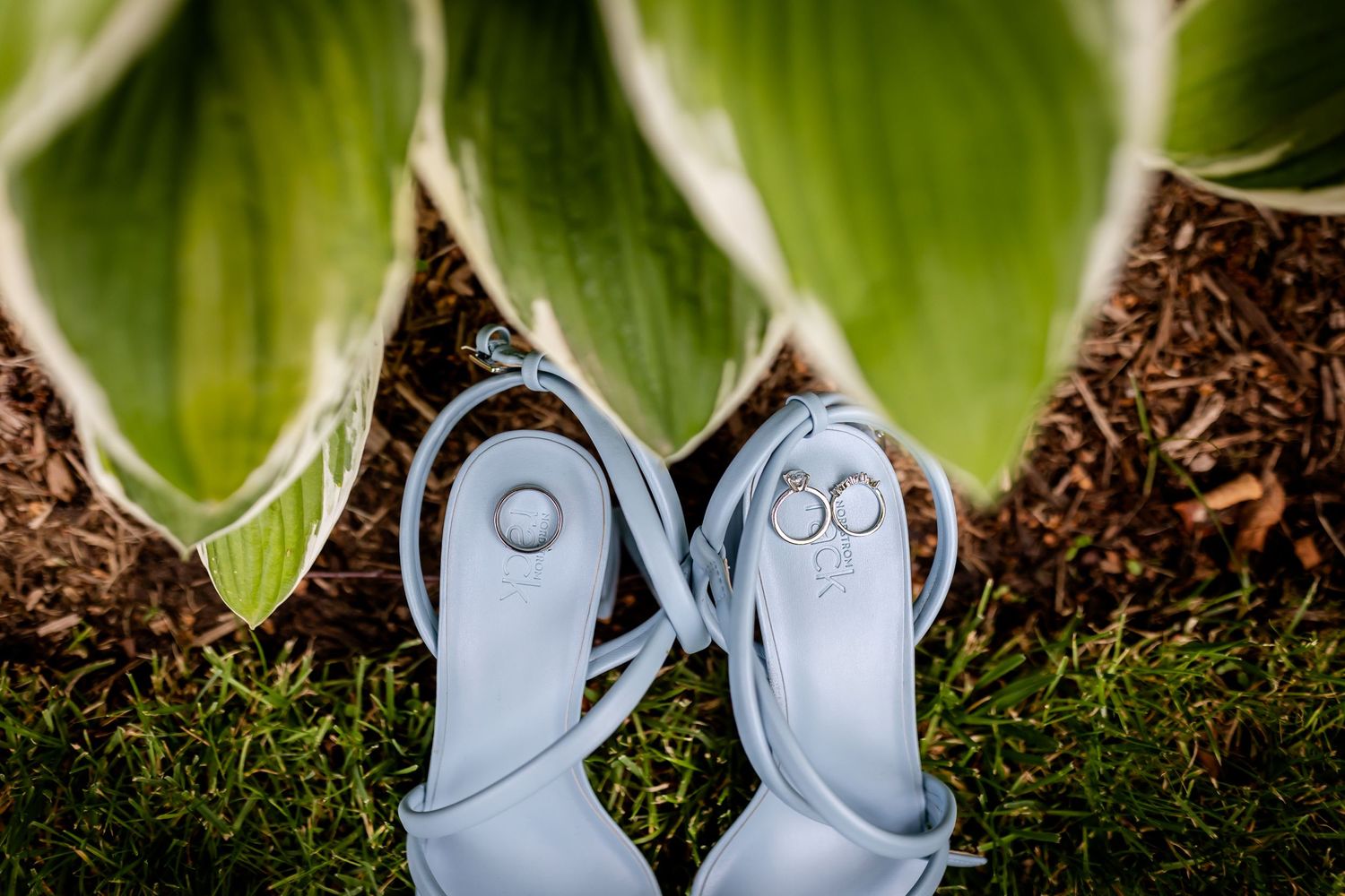 Wedding rings displayed creatively on white bridal shoes against green foliage background.