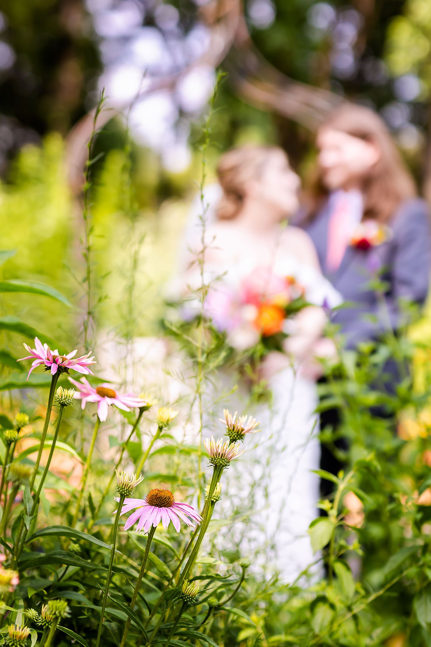 Pink coneflowers bloom in foreground with soft focus wedding couple in garden background.