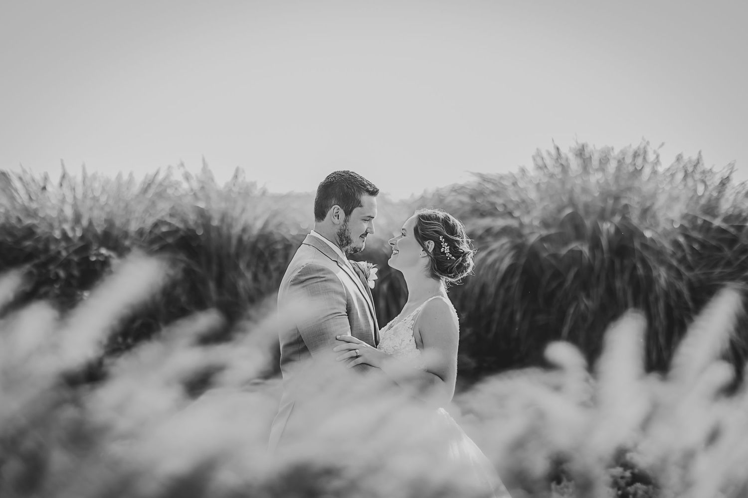 Black and white portrait of couple among tall ornamental grasses.