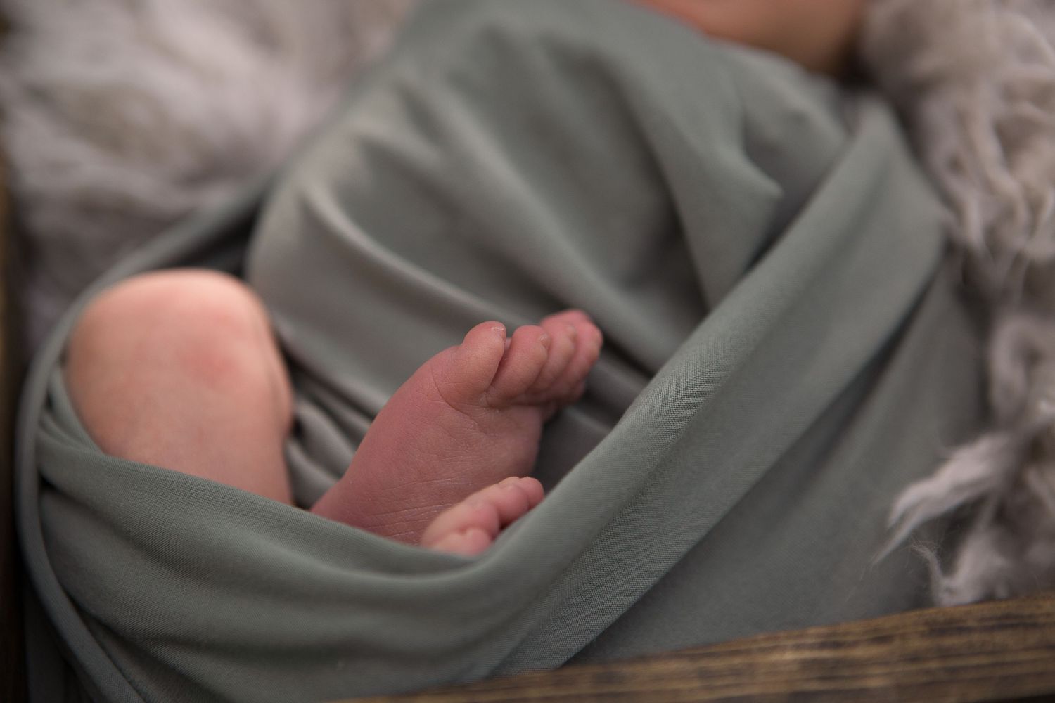 Close-up of tiny baby feet peeking out from sage green swaddle on white furry blanket.