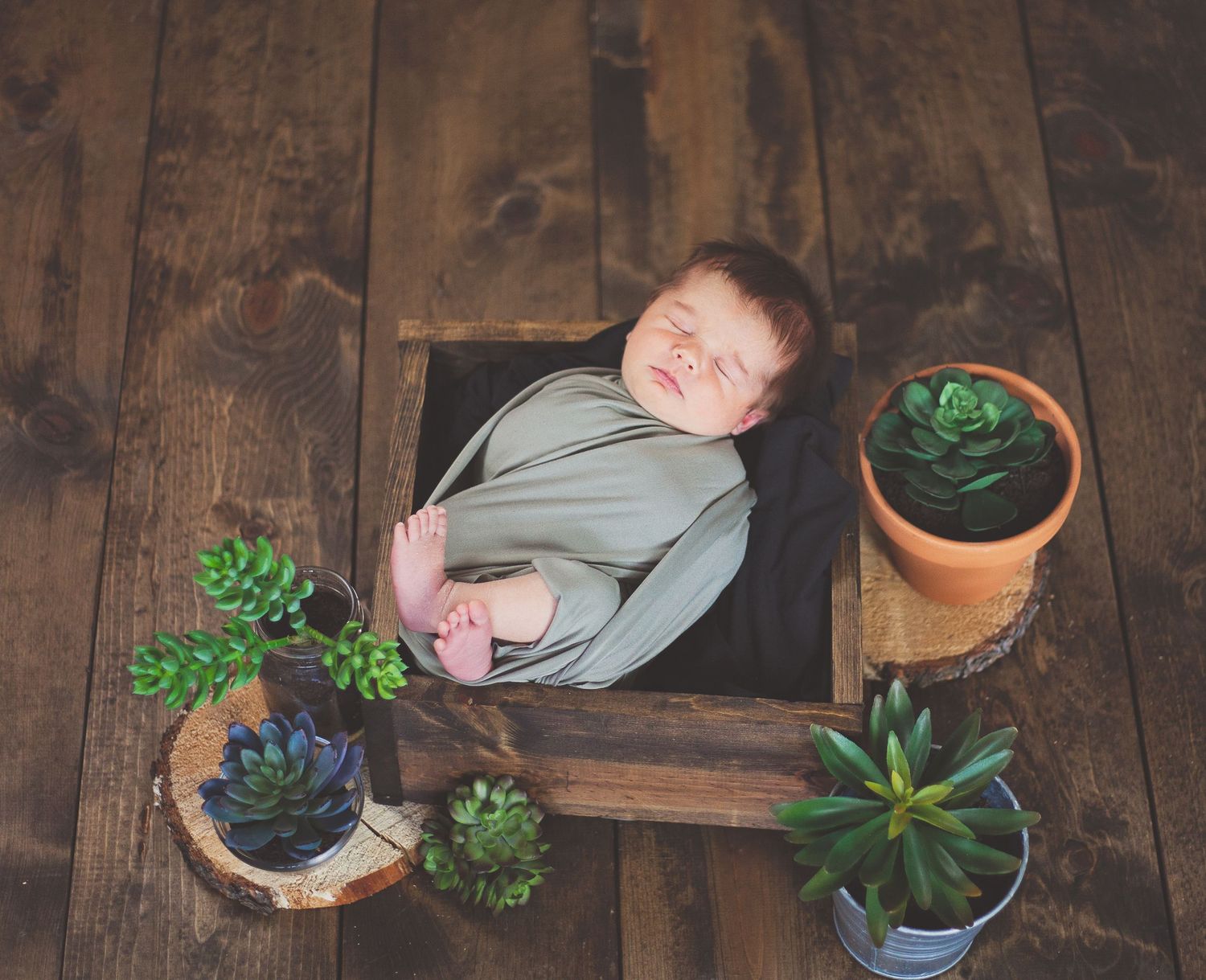 Overhead view of baby sleeping in wooden box surrounded by small potted succulent plants.