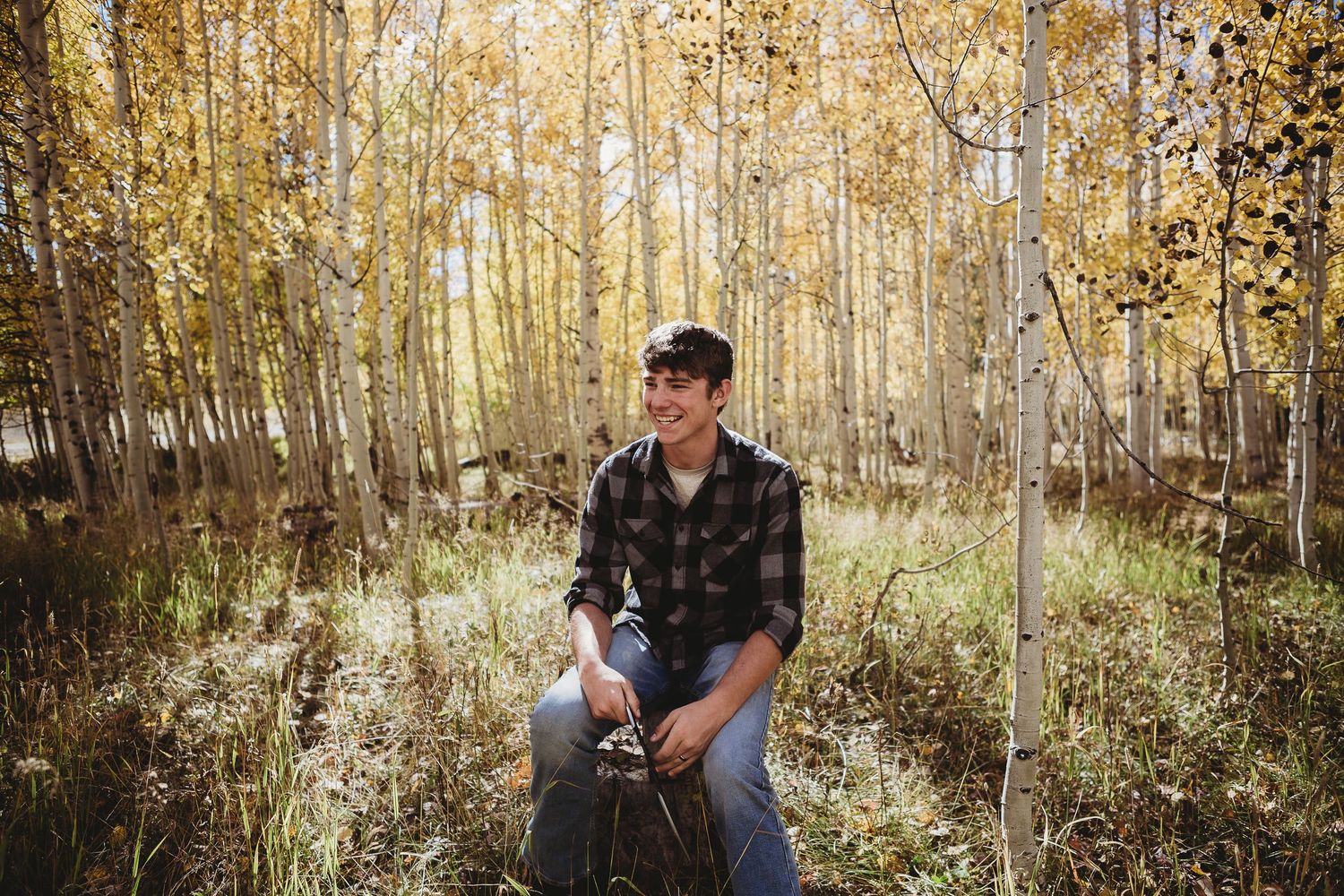 Figure posed on a tree stump amidst a glowing autumn aspen grove.