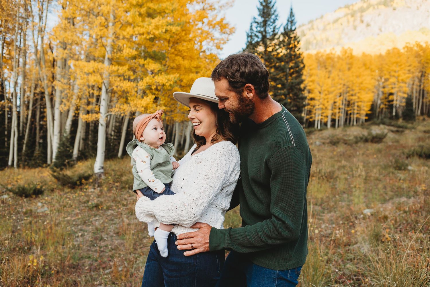 Autumn mountain scene with golden aspens and evergreens providing a scenic backdrop.